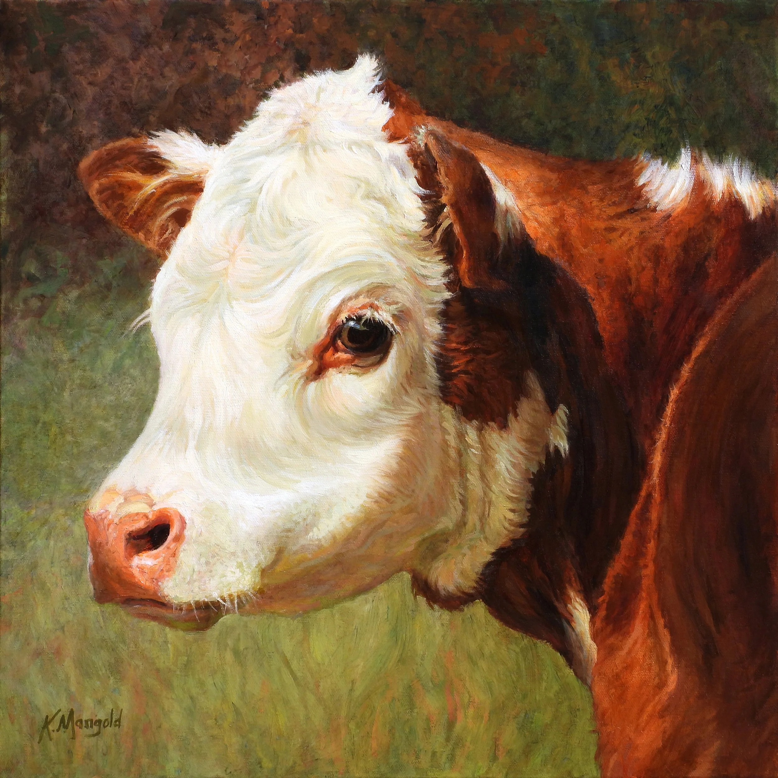 Calf & Dappled Light.jpg