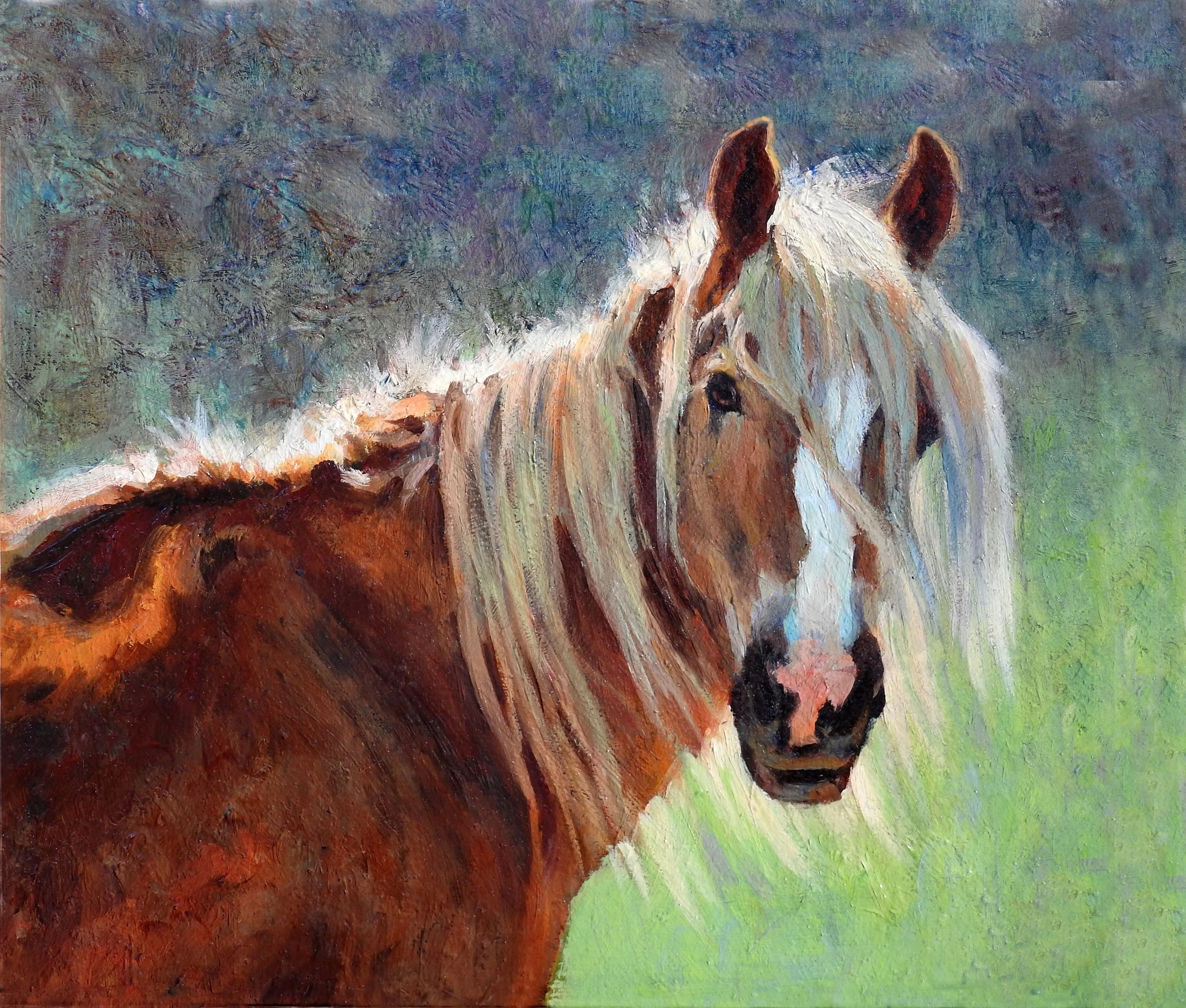 My Lilttle Pony BLEED top.jpg