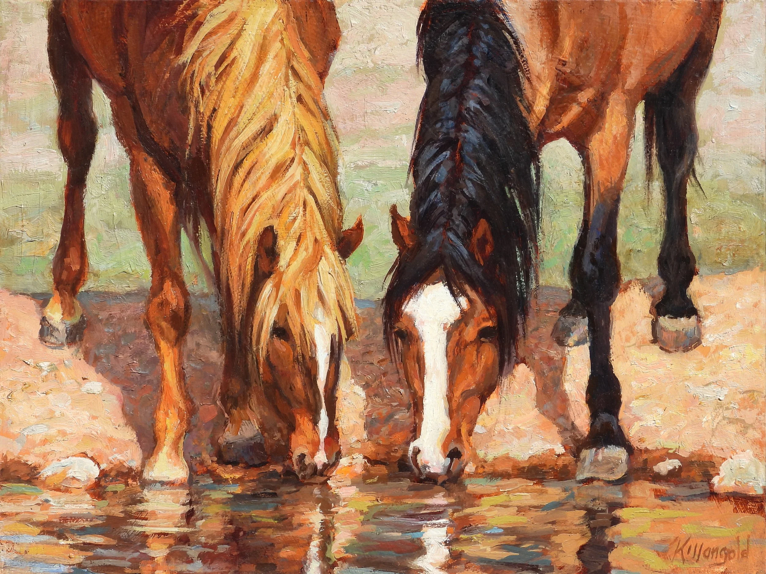 Sand wash basin mare stallion.jpg