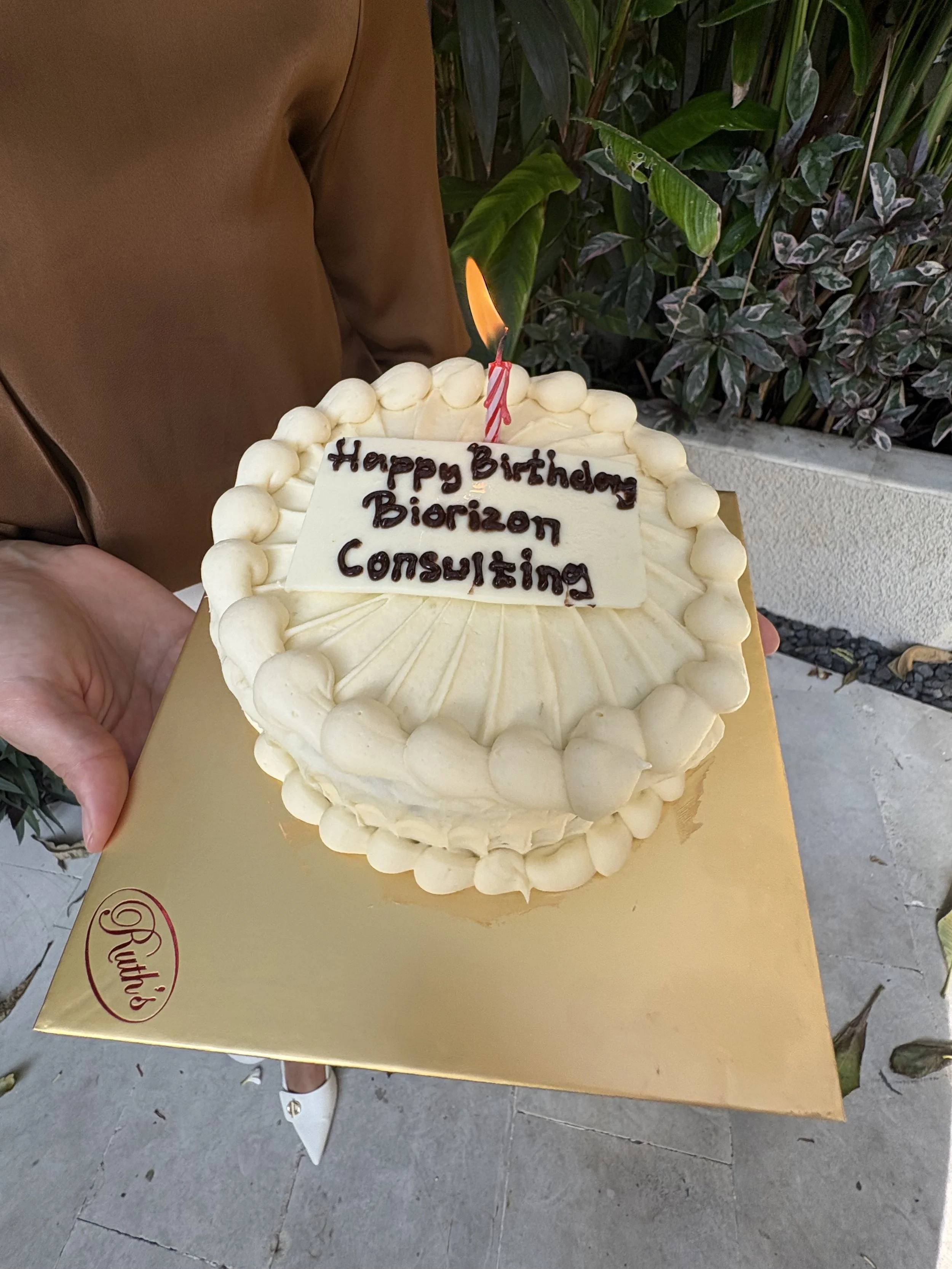 Celebrating One Year of Biorizon Consulting