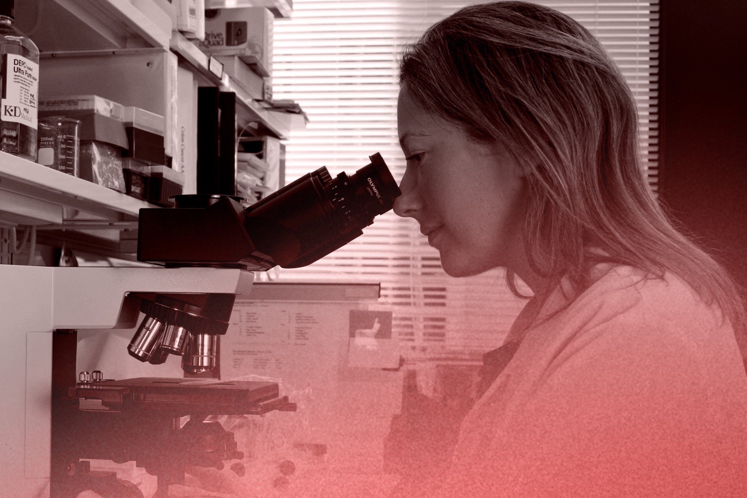 A woman uses a microscope in a laboratory, with shelves filled with lab supplies and equipment in the background.