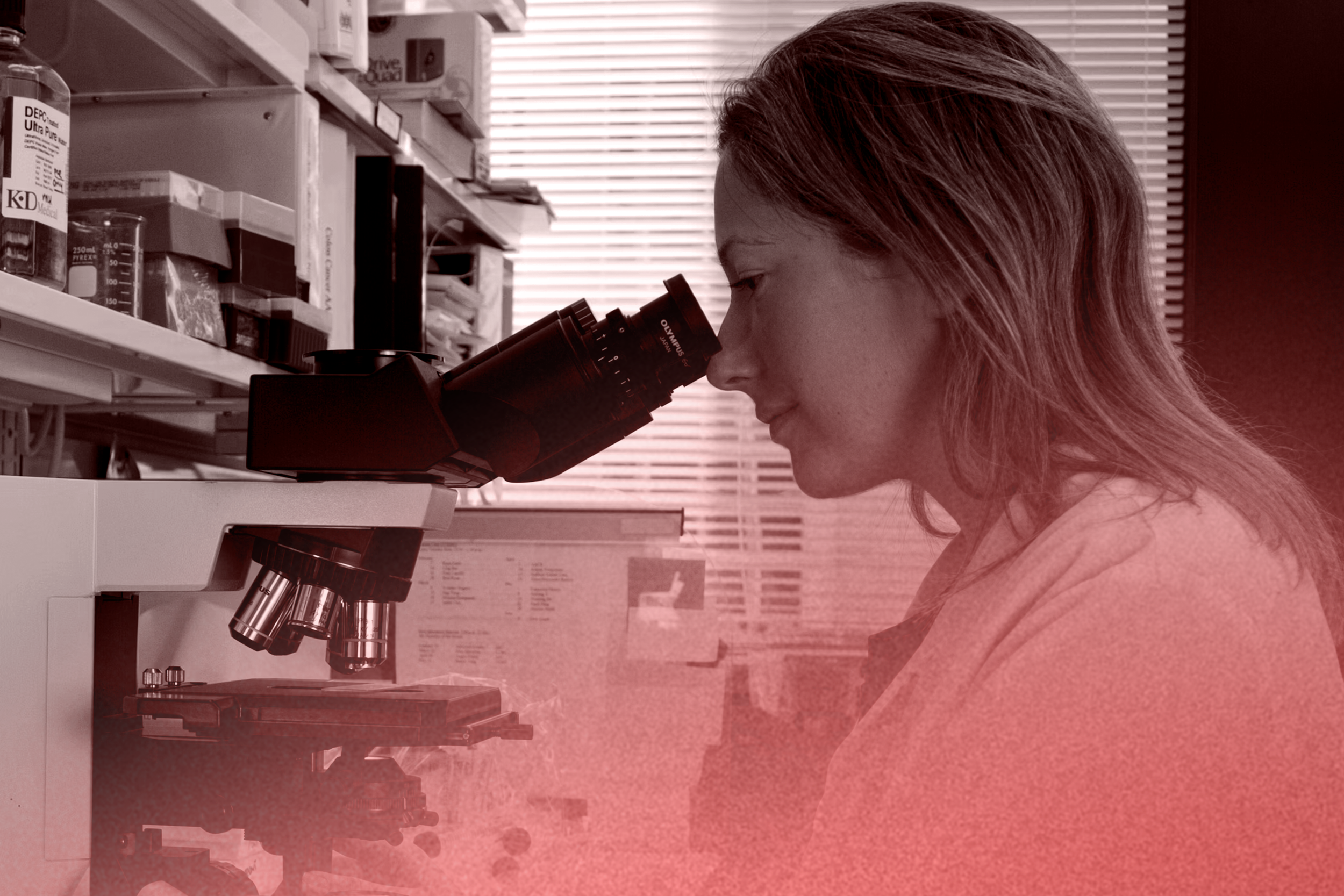 Where Life Science M&amp;A Deals Break: The Scientific Assumptions Hidden in Financial Models