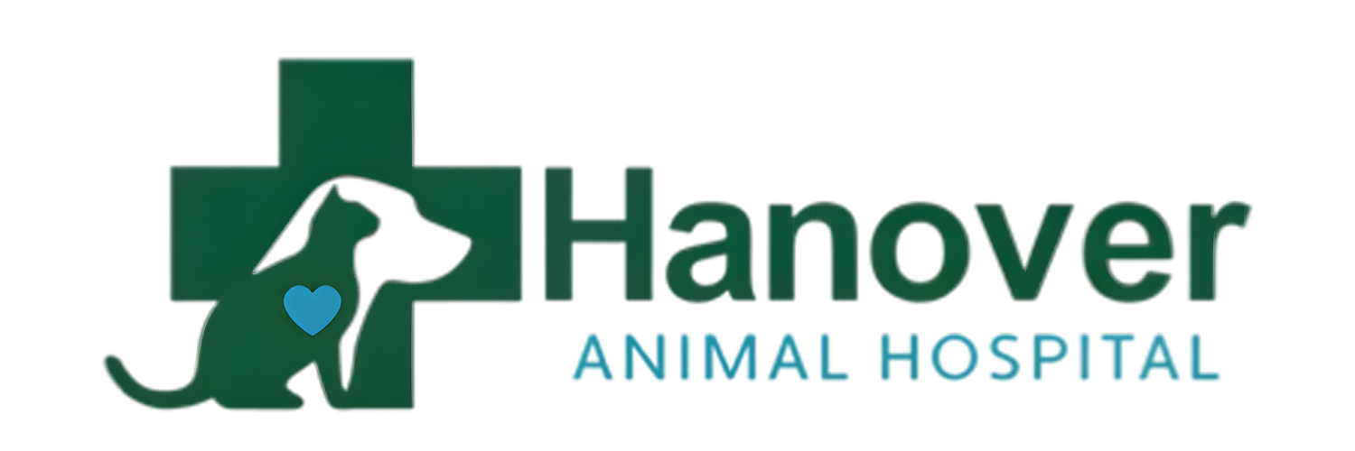 Hanover Animal Hospital