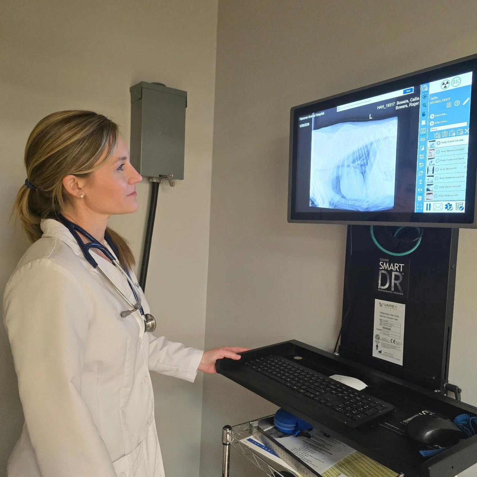 A female doctor or medical professional looking at an X-ray on a computer monitor in a hospital or medical facility.