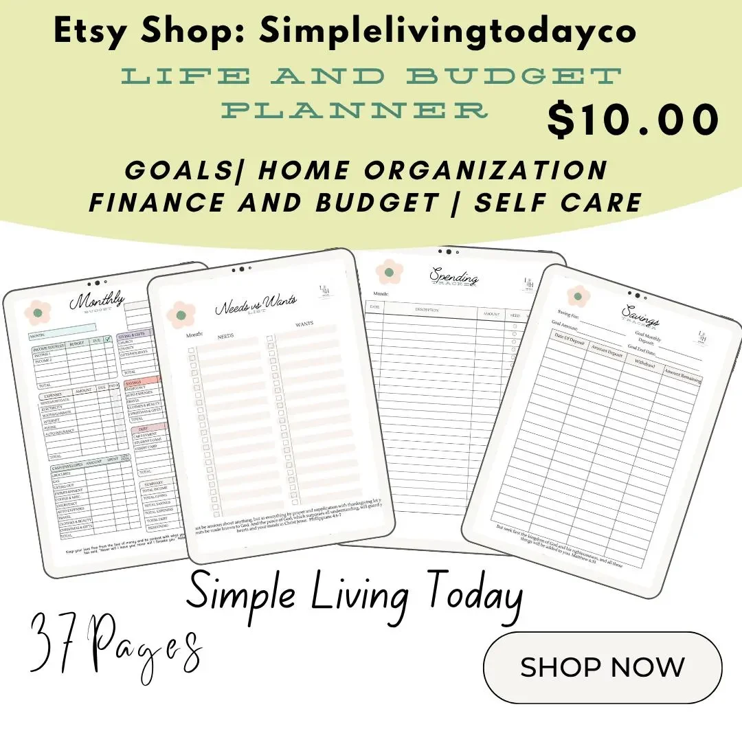 NEW*Simple Living Today Life and Budget Planner