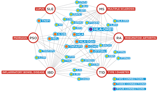 Do our genes cause autoimmune disease?
