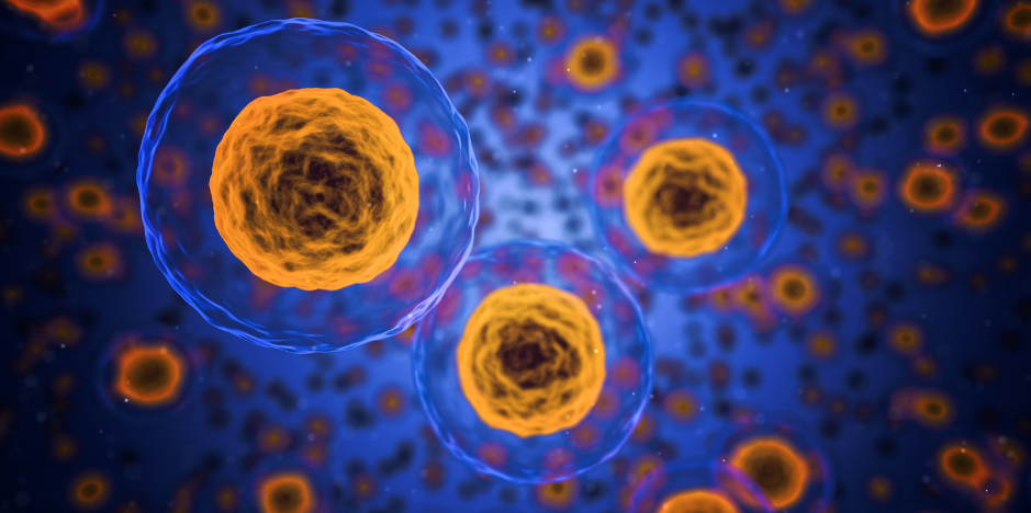 Is having a "young" immune system beneficial for older individuals?