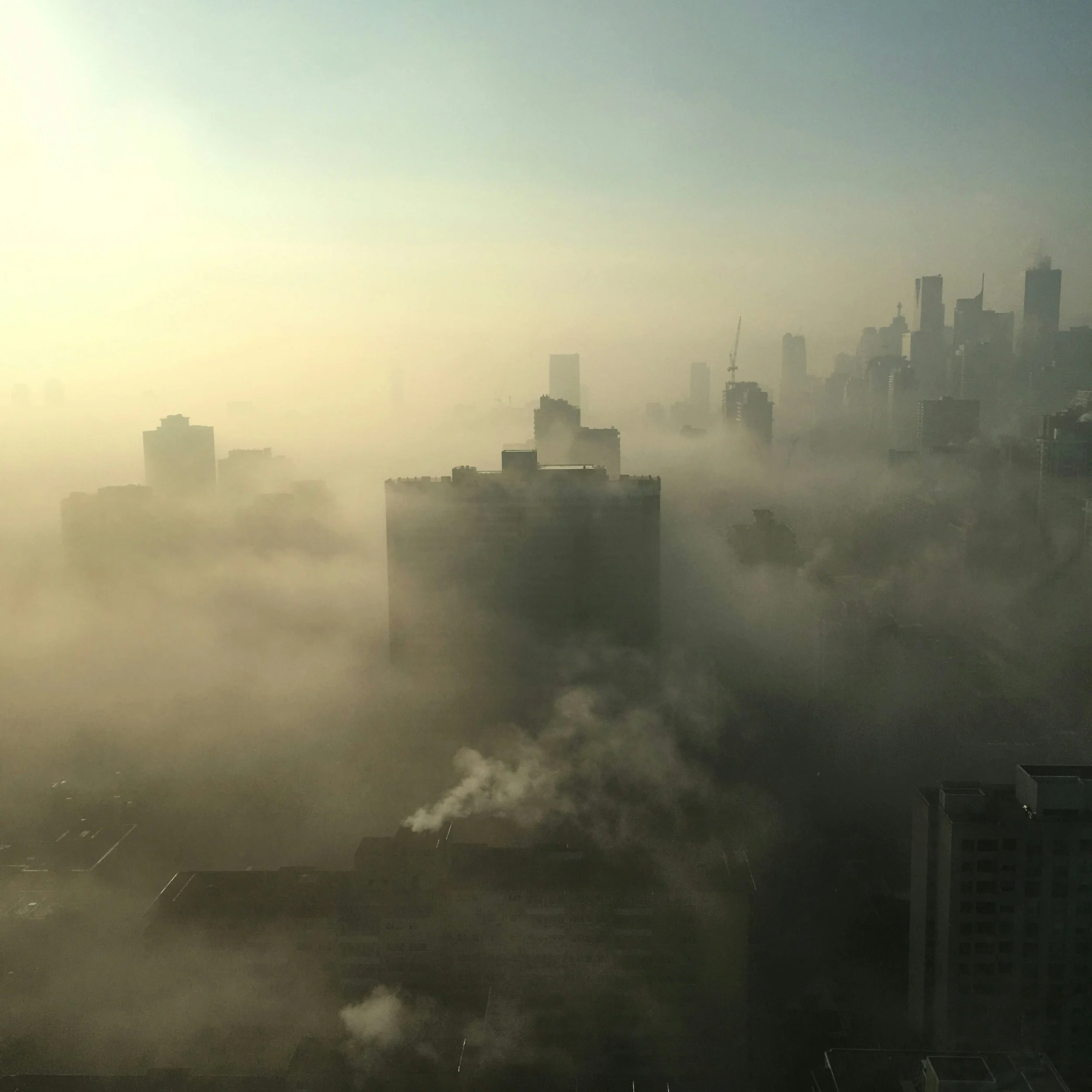 Air Pollution Linked to Immune Changes That May Trigger Autoimmune Disease