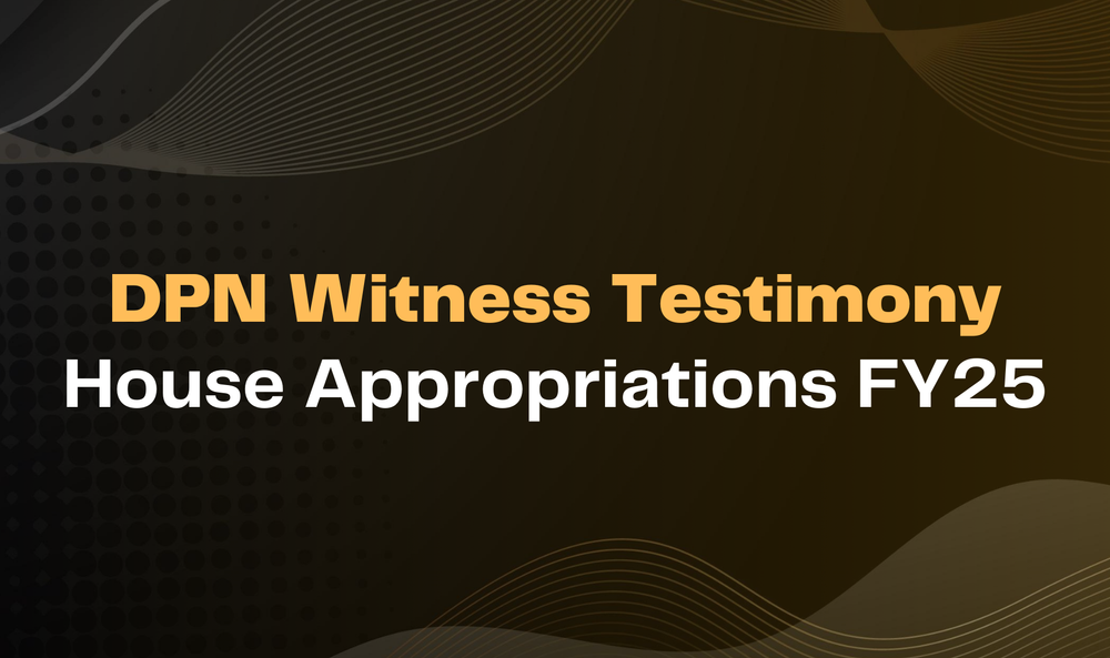 DPN Witness Testimony House Appropriations FY25