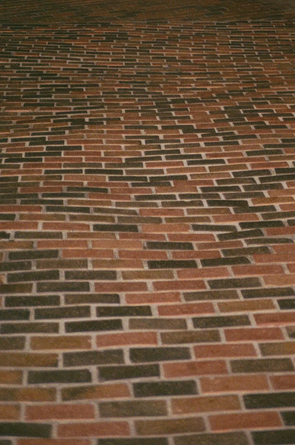 000075150005.jpg