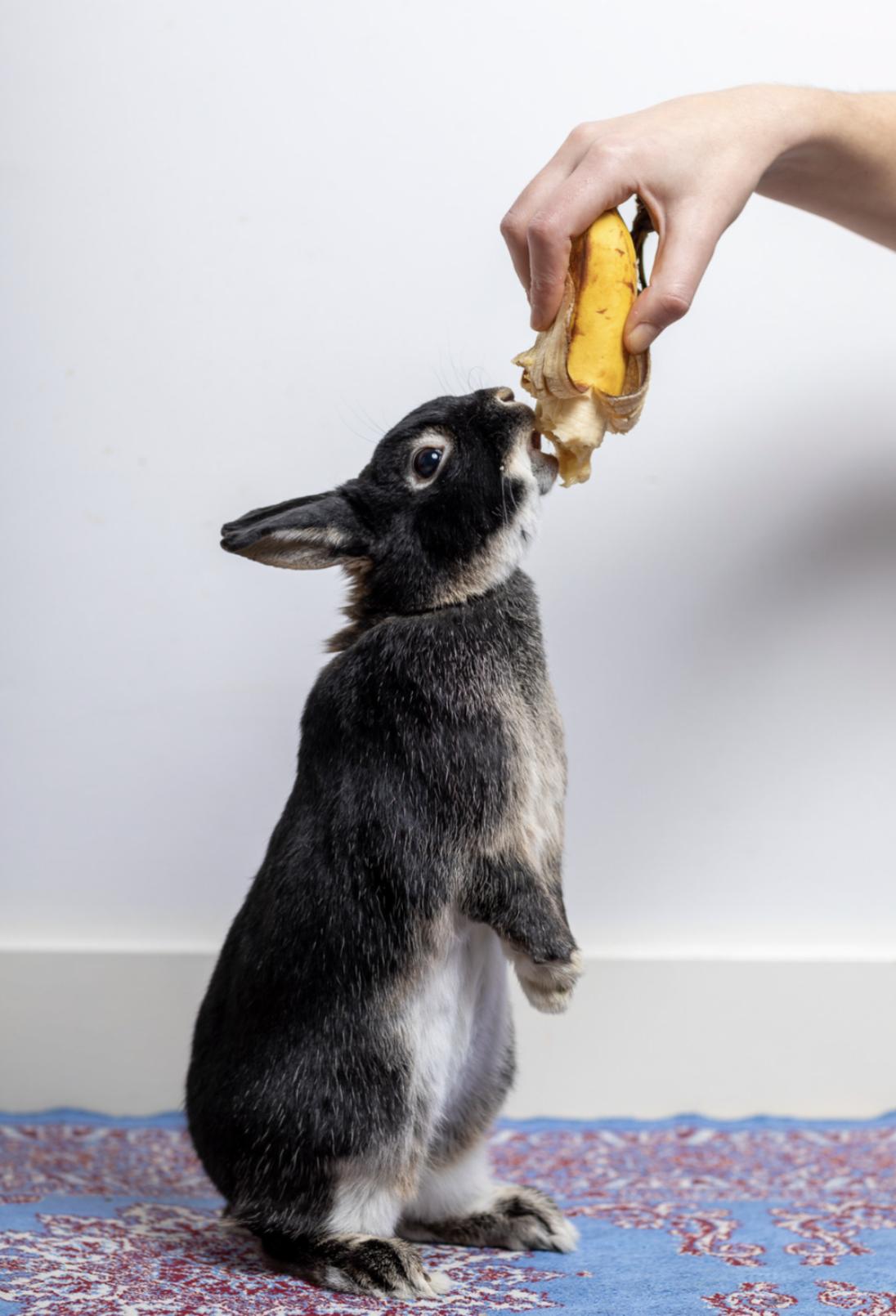 Scherm­afbeelding 2024-08-28 om 17.13.13.png