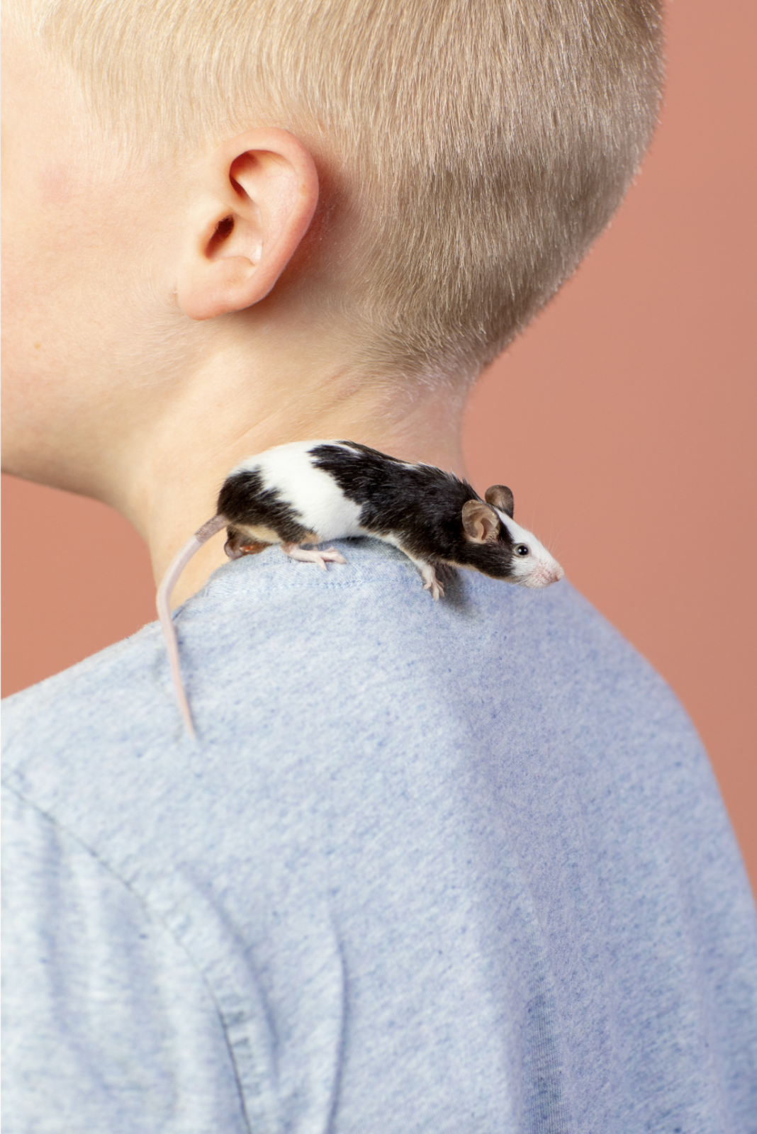 Scherm­afbeelding 2024-08-28 om 17.13.06.png