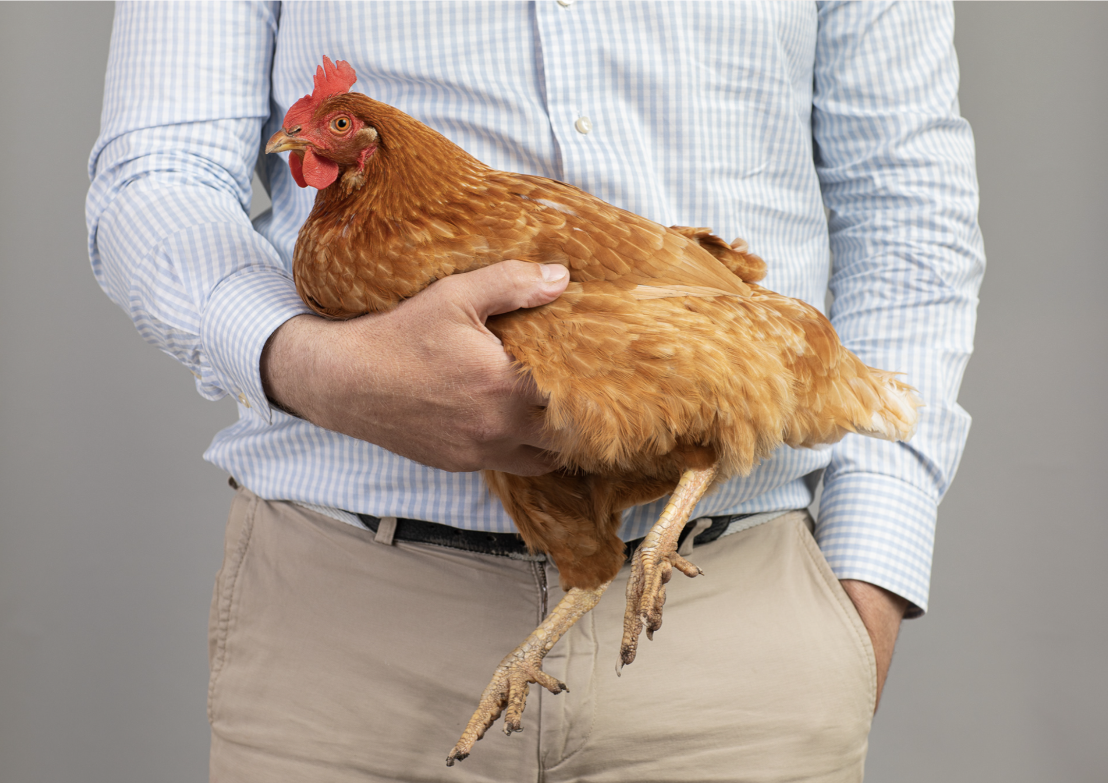 Scherm­afbeelding 2024-08-28 om 17.12.58.png