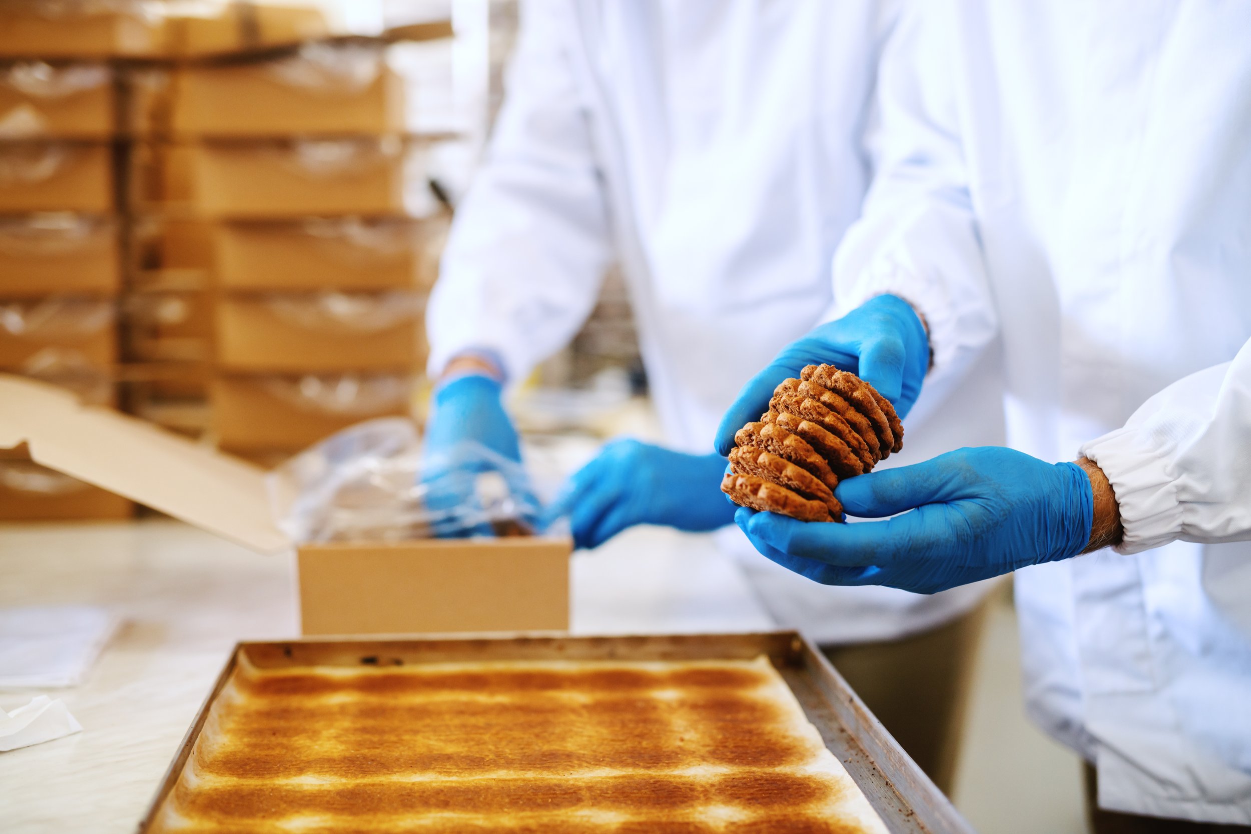 Process optimisation & improvement in a factory setting. Food safety training and food safety culture.