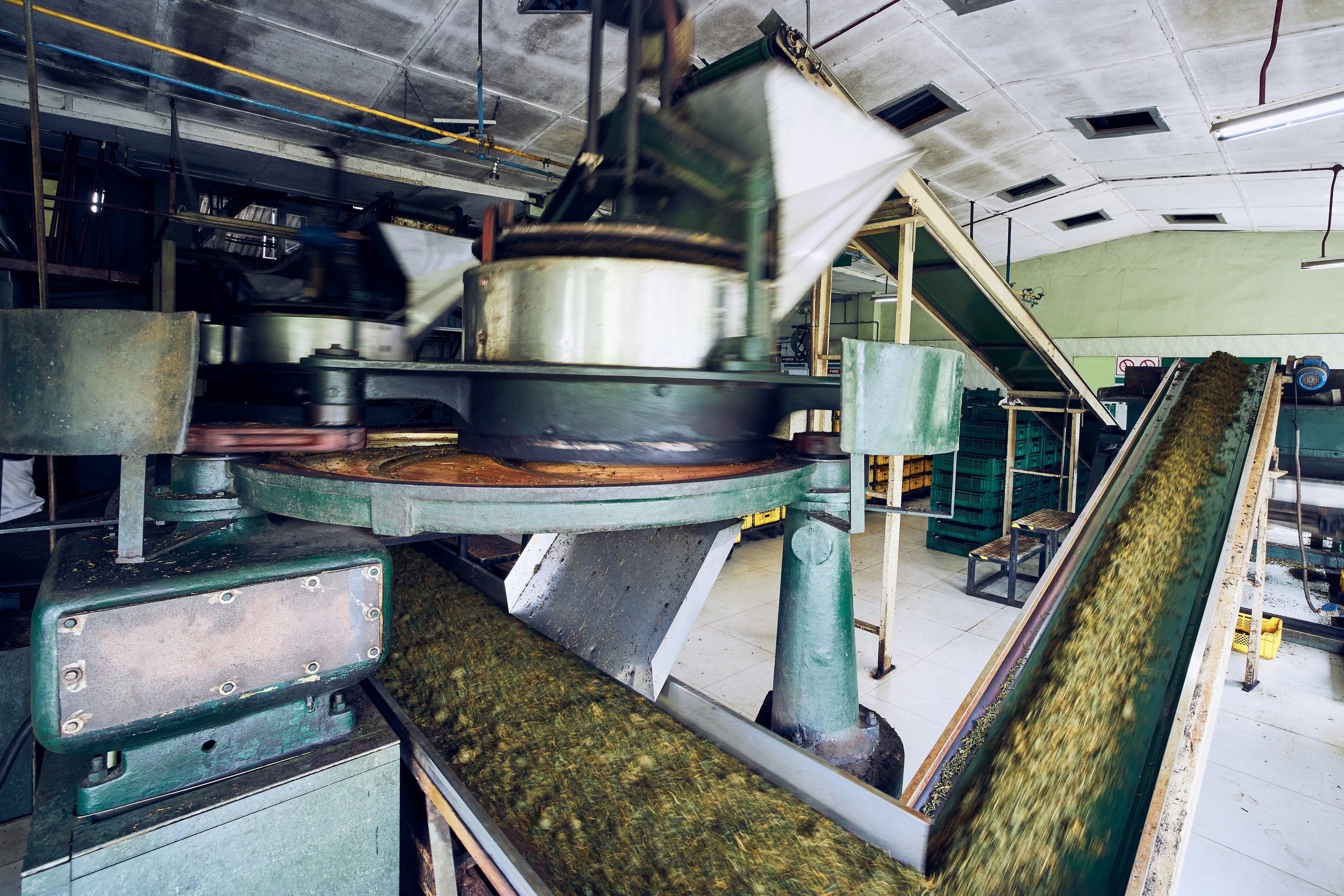 Food production line, food safety & quality management, allergen management.