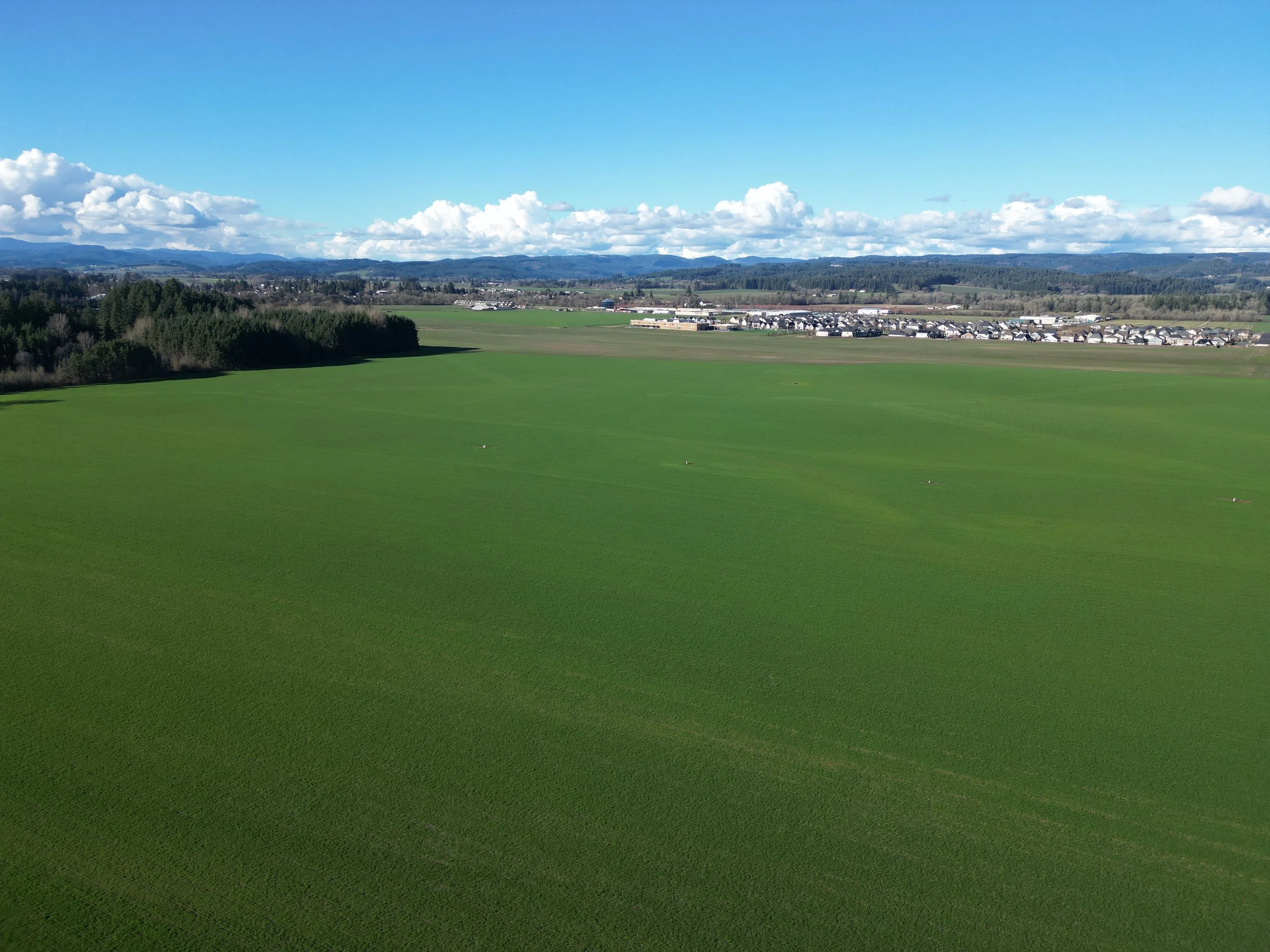 JacksonSchoolRoadFarmland_NorthPlainsHillsboroIntersection-StillShot.JPG