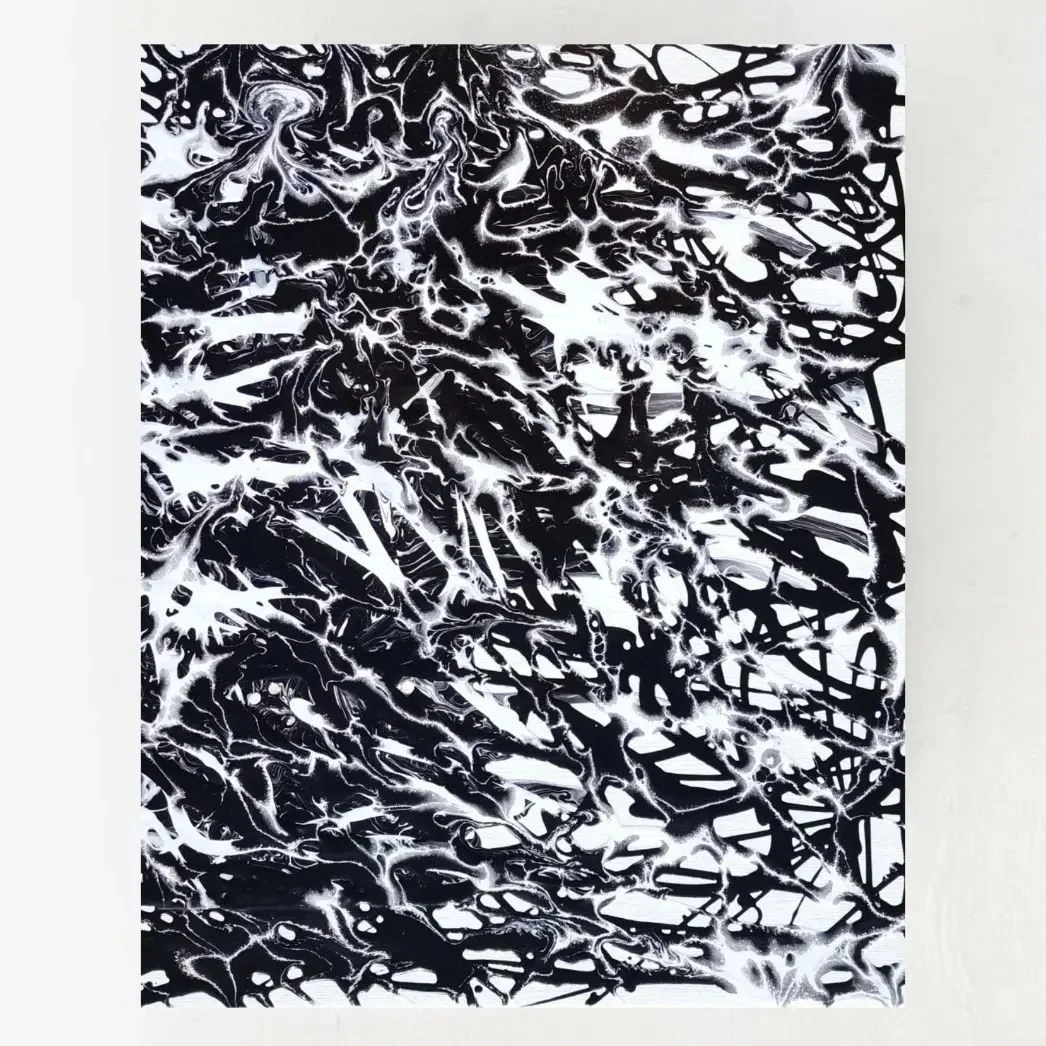 16x20in - Acrylic Pouring on Canvas 
'Alien Registration'
.
.
.
.
.
.
#acrylicpainting #acrylicpouring #pouringpaint #blackandwhite #black #white #abstractart #abstractpainting #abstraction #mixedmedia #mixedmediaart #pouringmedium #pouringmediumart 