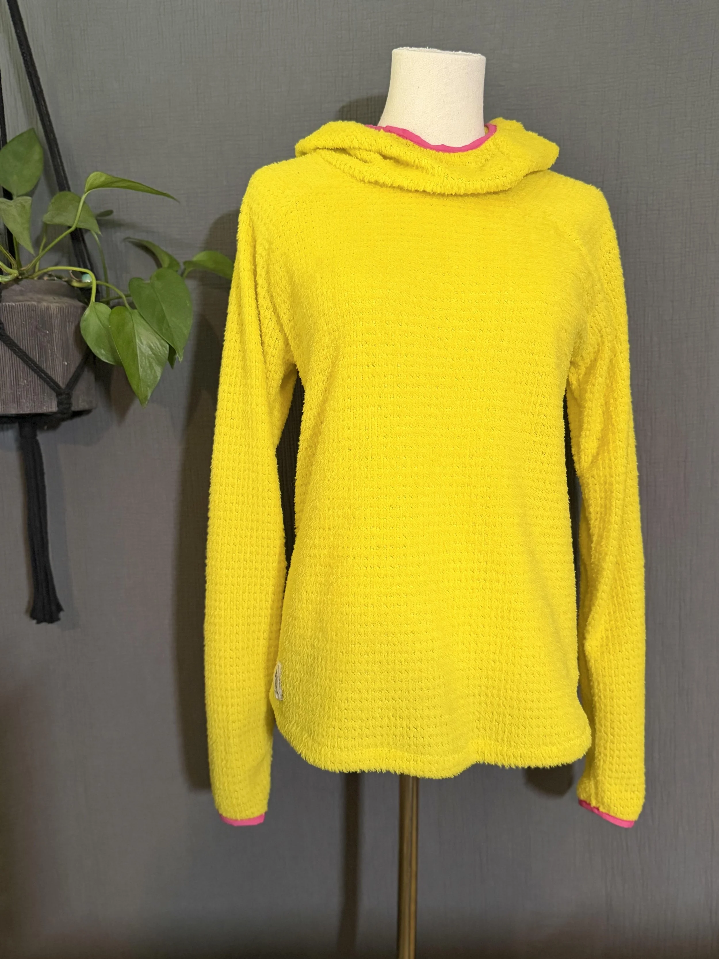 Small Alpha Hoodie