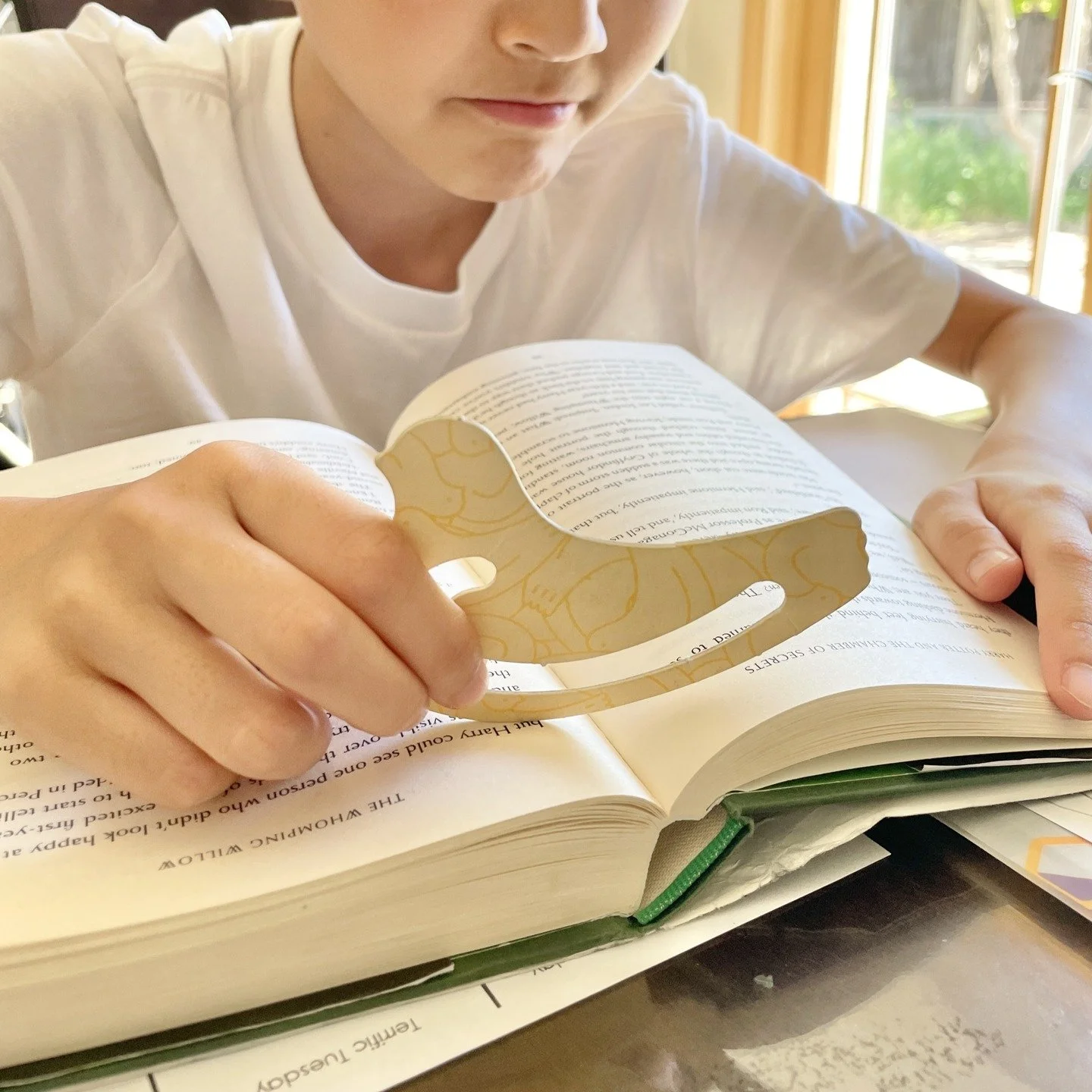 夢中になっているときの顔が好き💗

静かな午後。
本の世界にすっかり入り込んでいました。

「成功」が幸せを決めるのではなく
「幸せ」こそが、成功の秘訣。
　
好きなことをしていれば
道は自然とひらけていく。

（アルベルト・シュバイツァー）
　

本に没頭する次男の姿が、
この言葉の本当の意味を教えてくれた気がします。
　

大好きなことに夢中になれる、
その瞬間こそが、もう「成功」なんですよね。
　

みなさんは
時間を忘れて夢中になることありますか？

P.S.
ちなみにこのしおり、
鳩