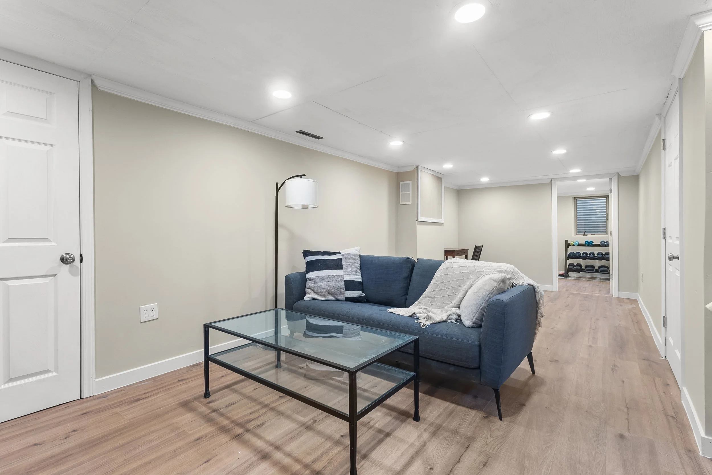 Basement Remodel