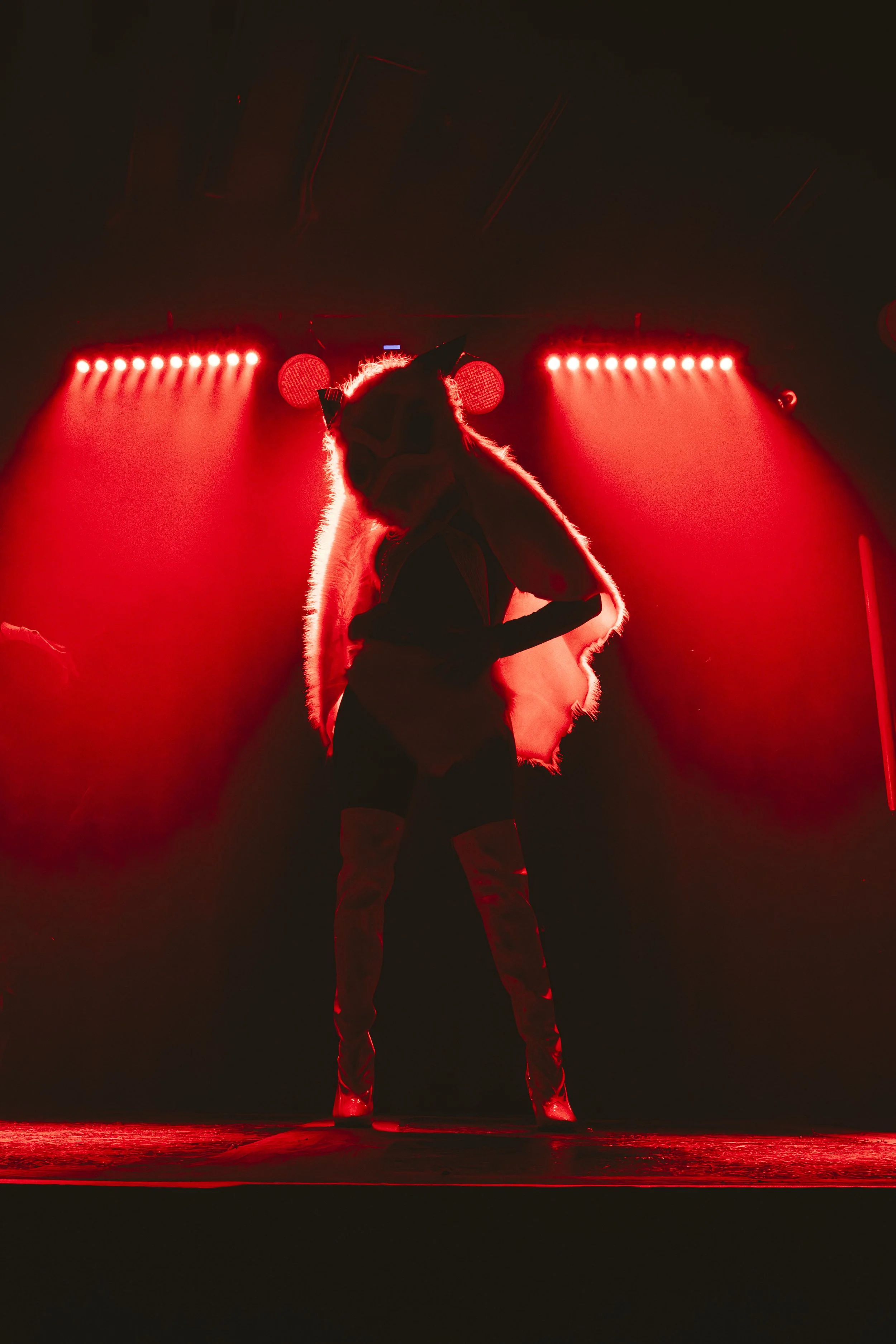 curated-FANDOM-June2026-jesseRAYphoto-7196.jpg