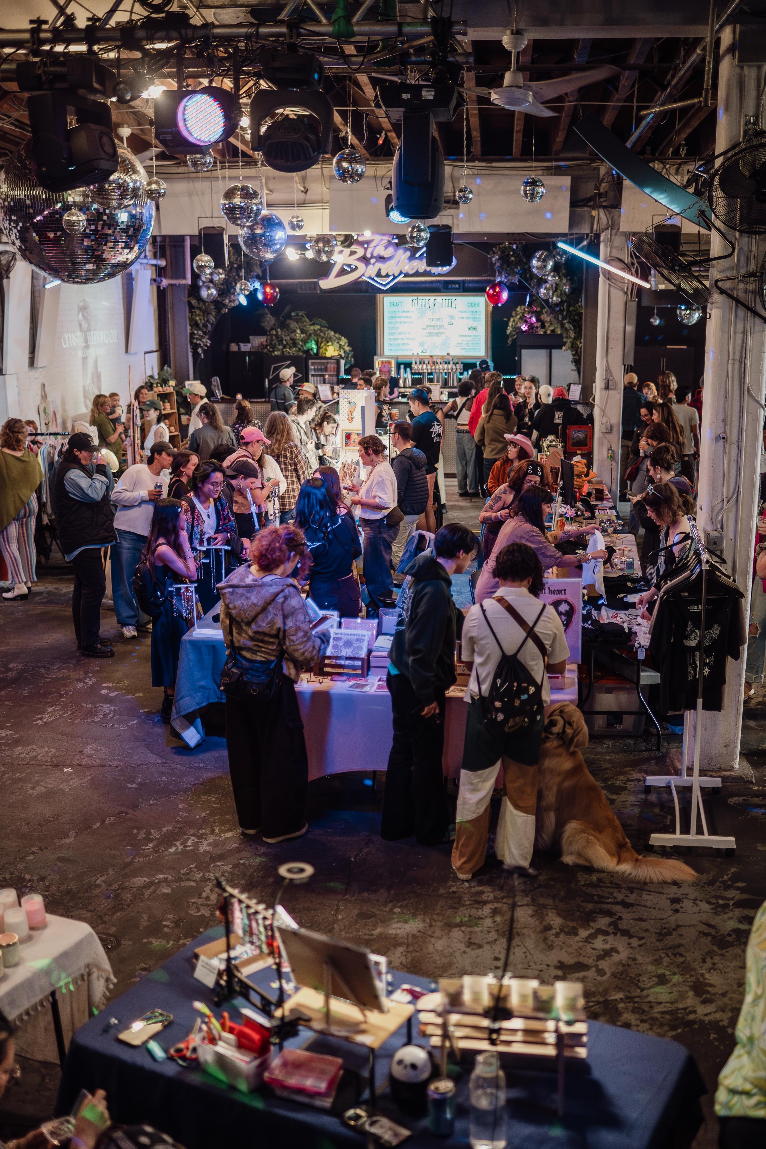 sundayQ&B-june72026-jesseRAYphoto-5806.jpg