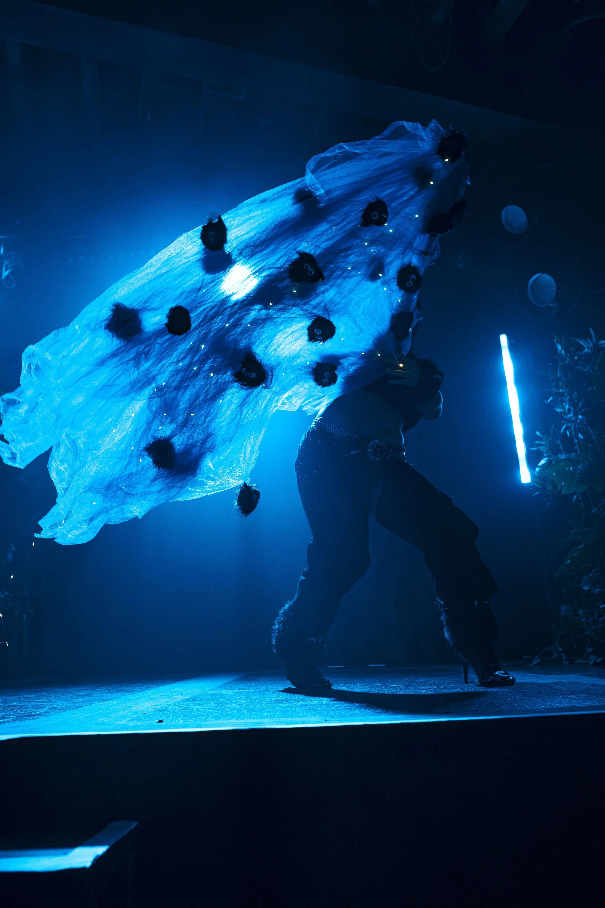 curated-FANDOM-June2026-jesseRAYphoto-7555.jpg