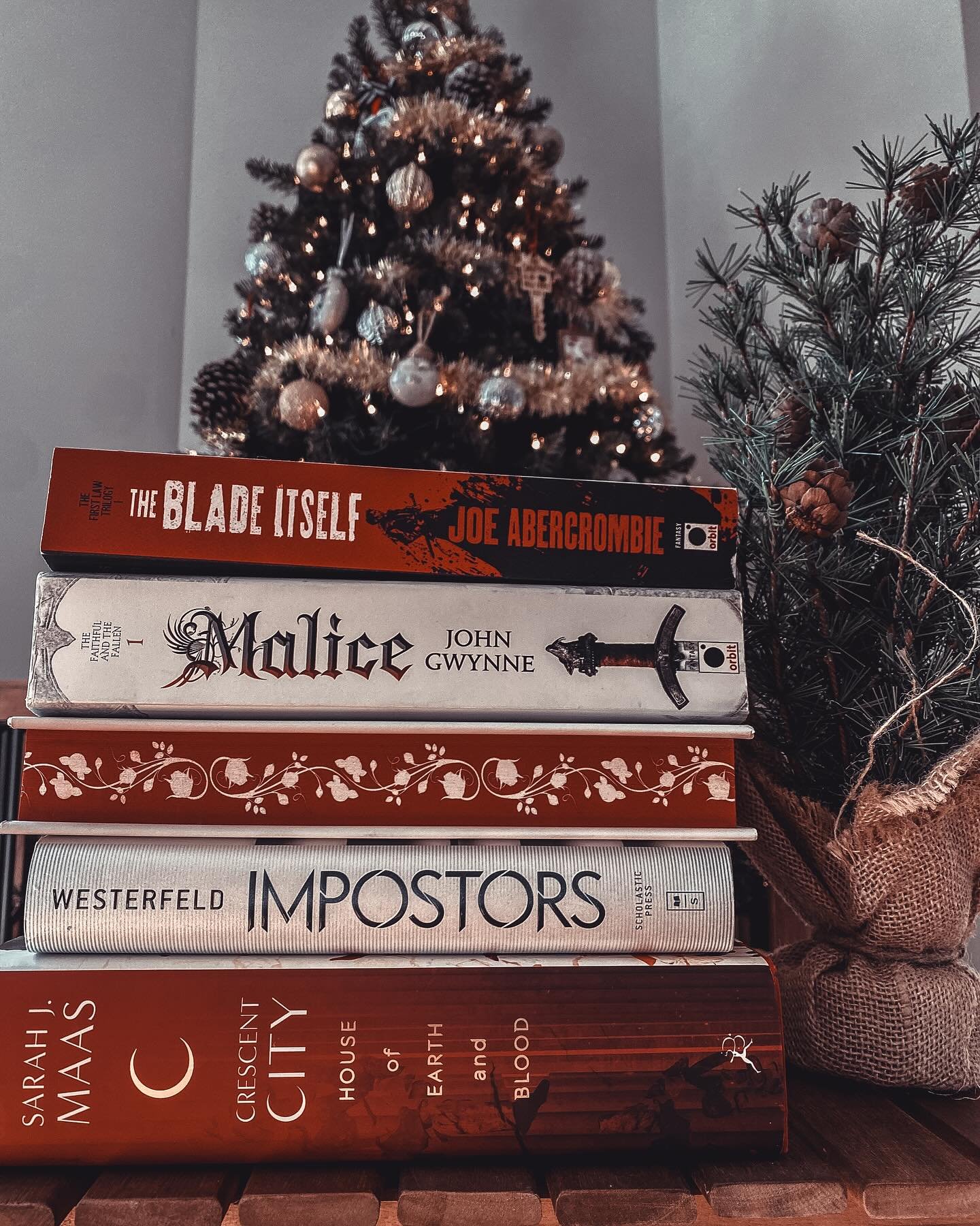 Candy cane book challenge 🎄

#booklover #bookchallenge #bookstacking #bookstagram #bookaddict