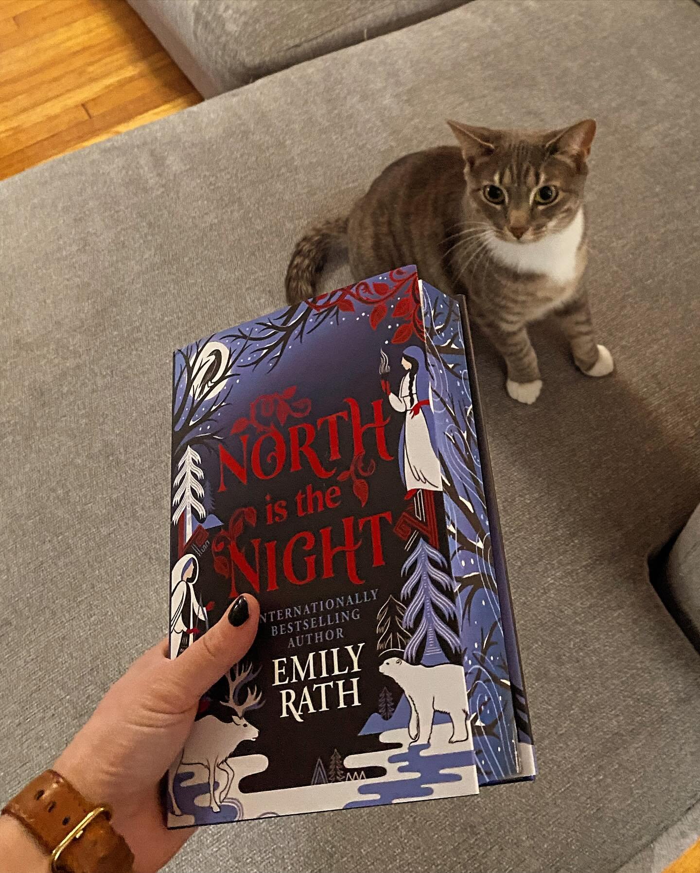 Friday vibes = Target run essentials + a lil treat for myself and of course, Lily had to inspect it first. 😹

#bookish #bookishadventures #treatyourself #fridaybookvibes