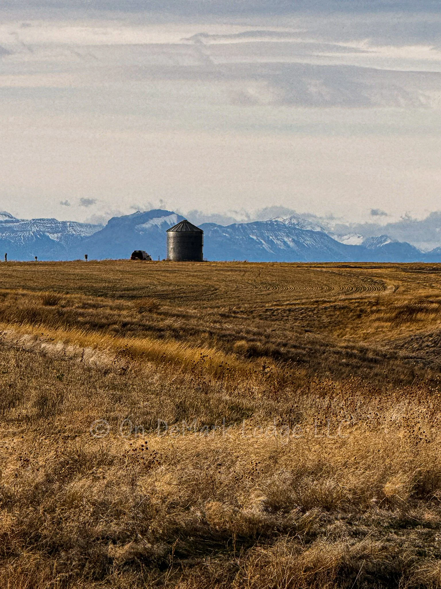 Picking Your Dates to Book