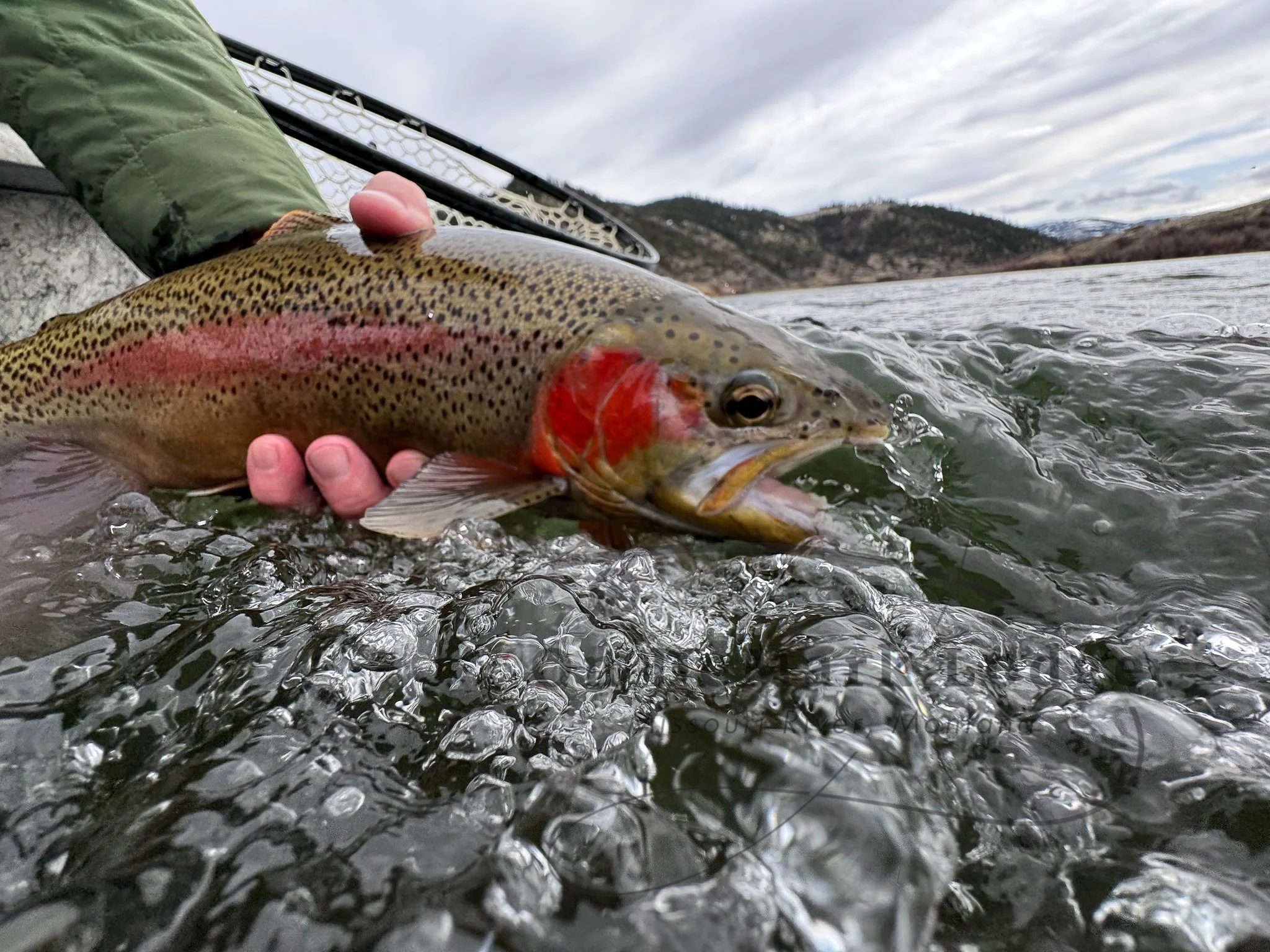 February at On DeMark Lodge