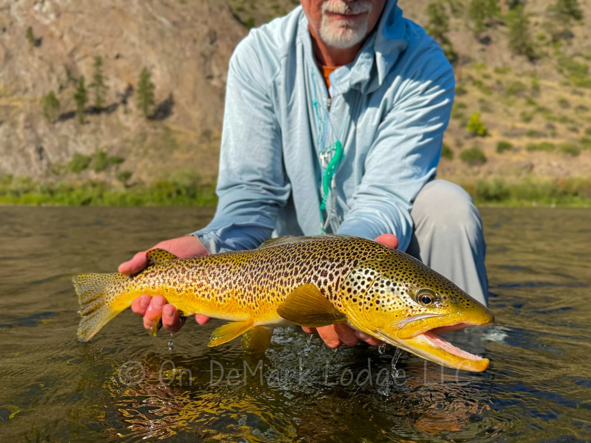 Targeting Trophy Brown Trout on the Missouri River