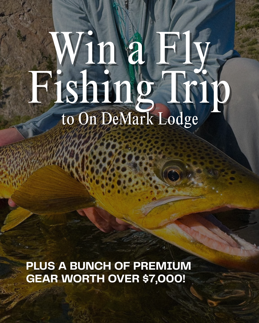 Check out our Latest Podcast and Giveaway