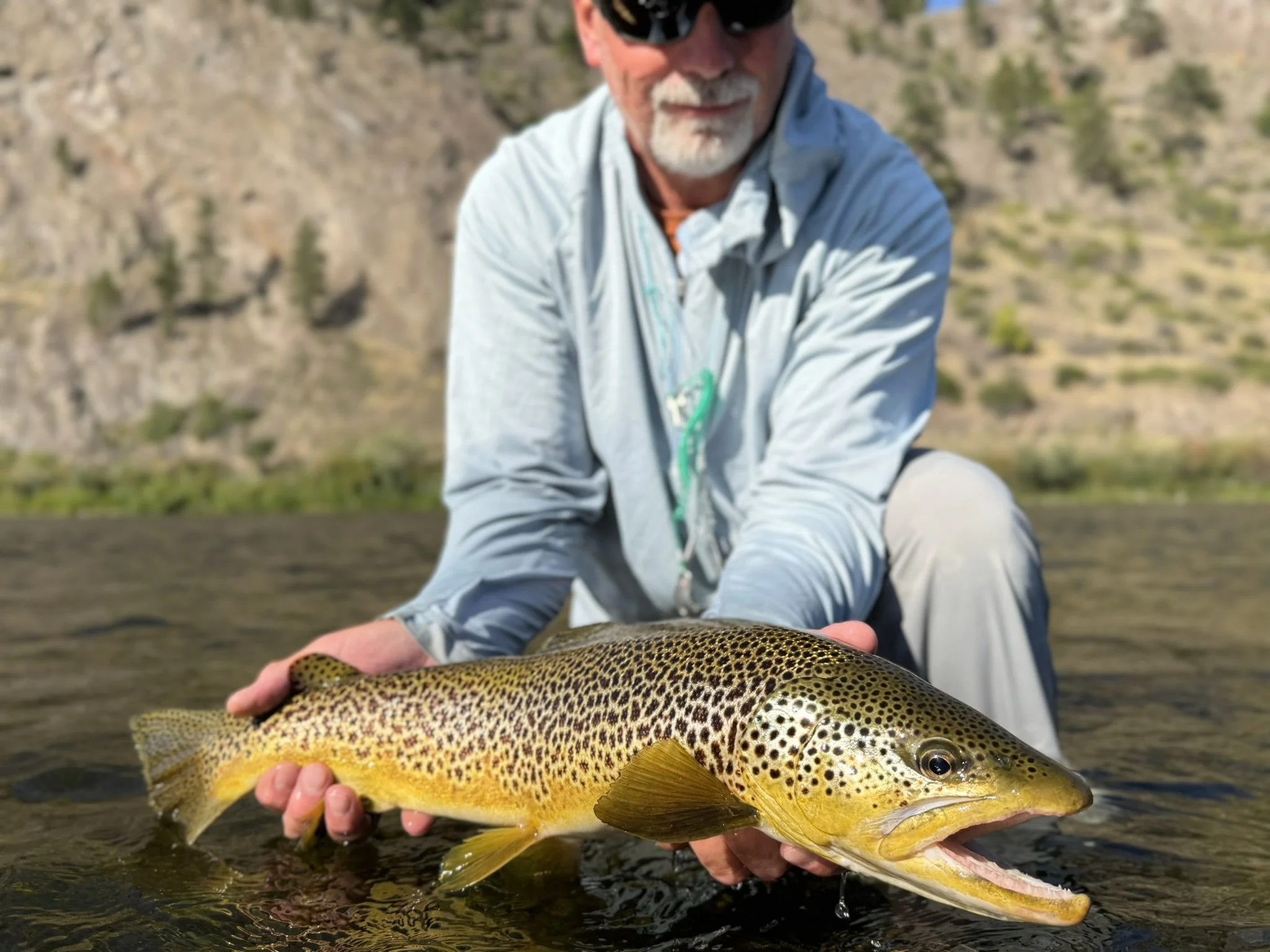 Angler with a trophy Brown Trout with a scenic canyon background