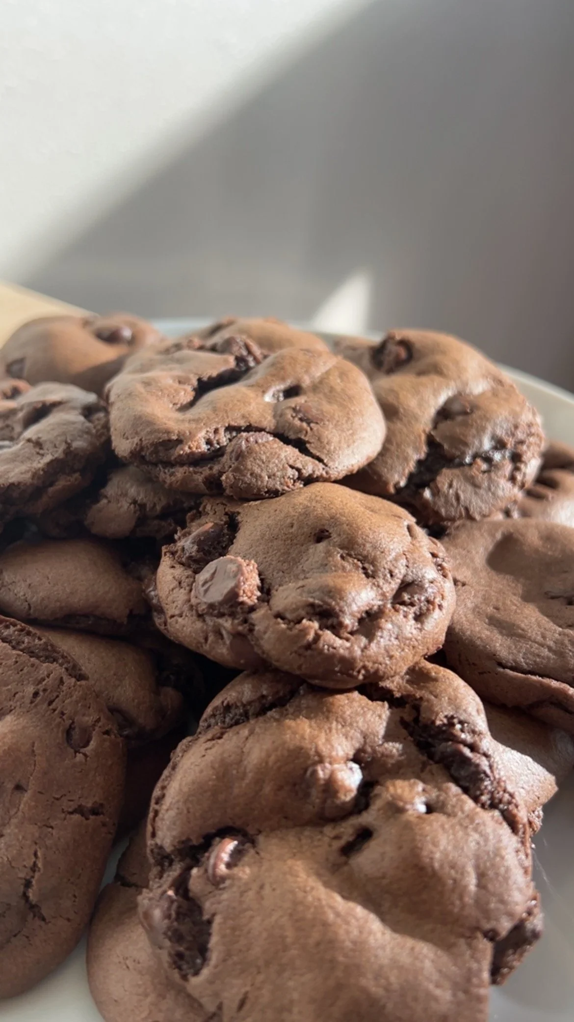 Plate of chocolate cookies with chocolate chips in sunlight