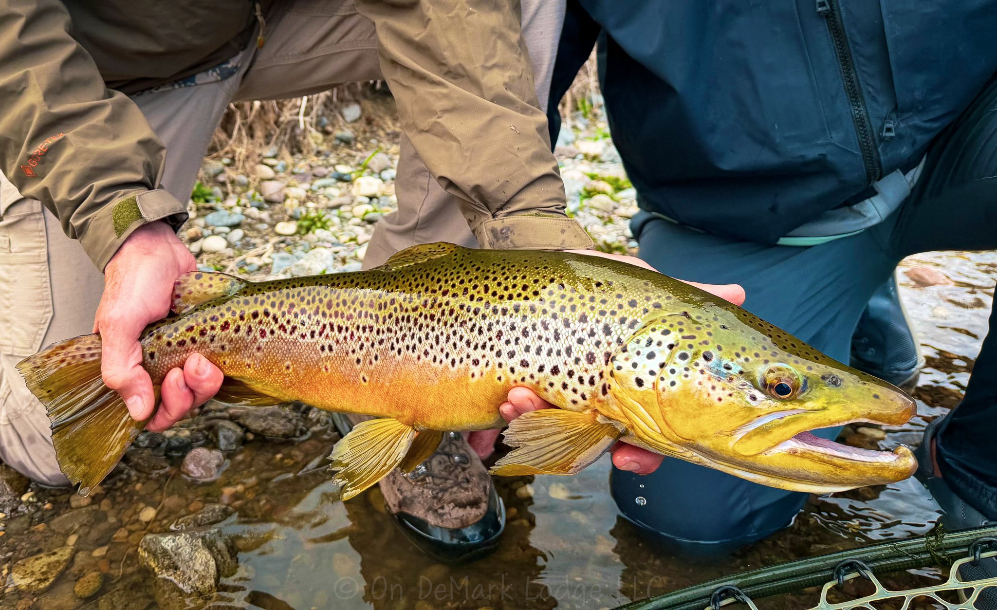 Fly Fish Missouri River Craig Montana