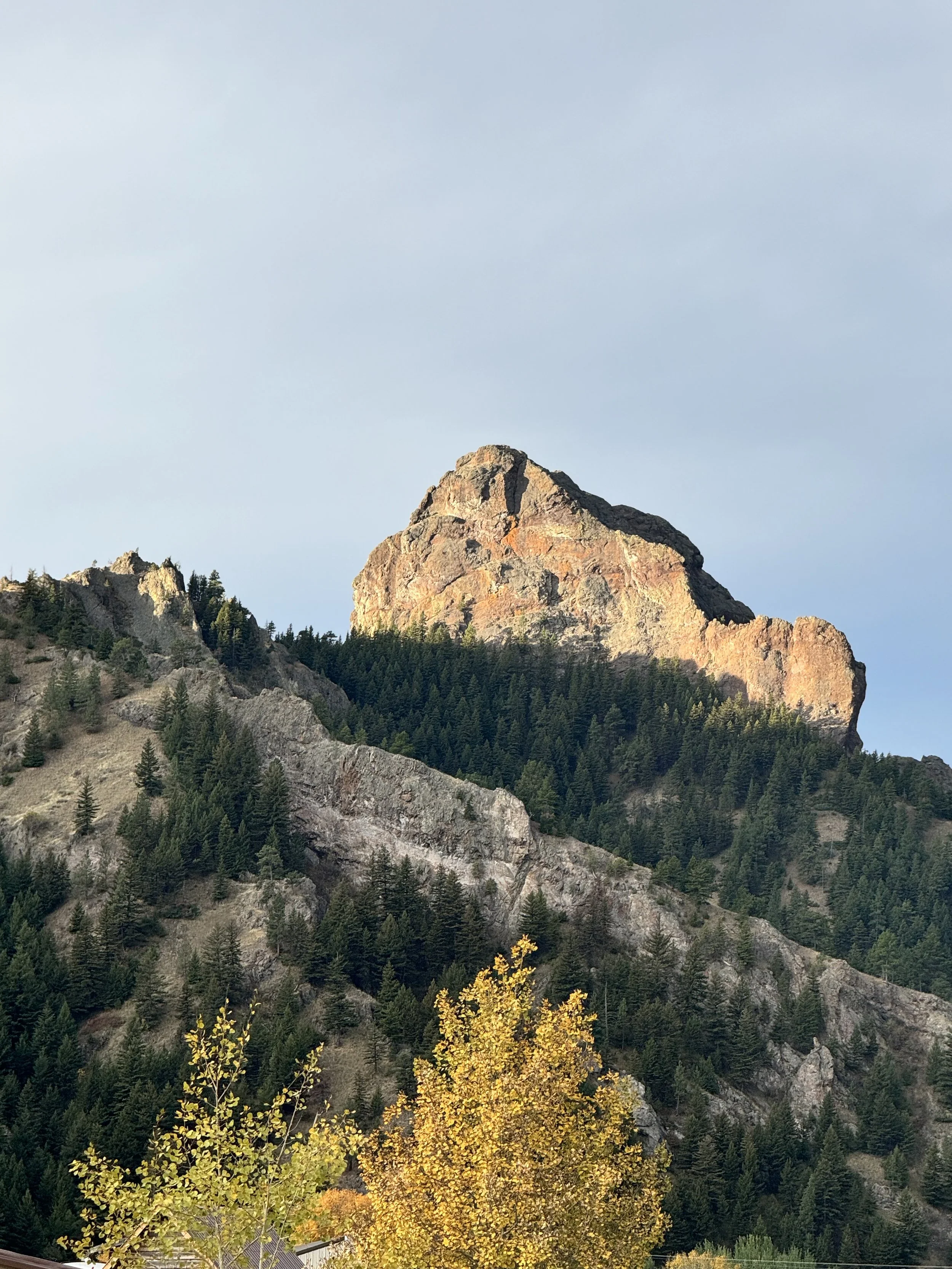 Rocky mountain landscape with pine trees and fall foliage under a cloudy sky.
