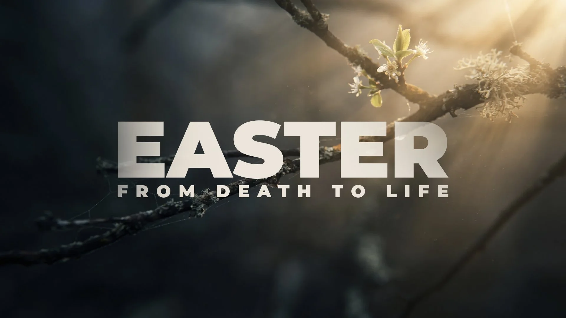 EASTER - Death To Life