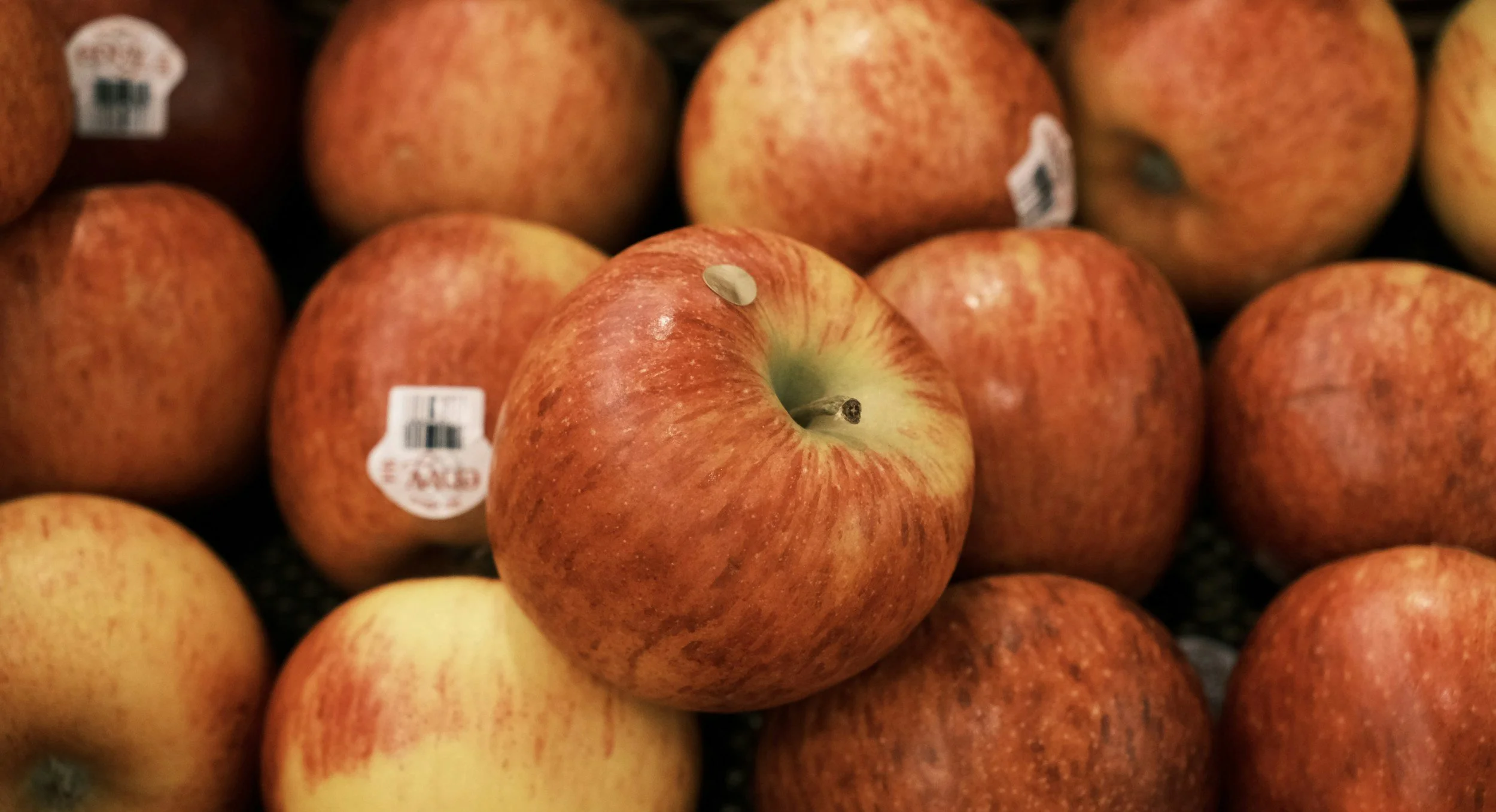 Food Box Building - Vounteers Needed