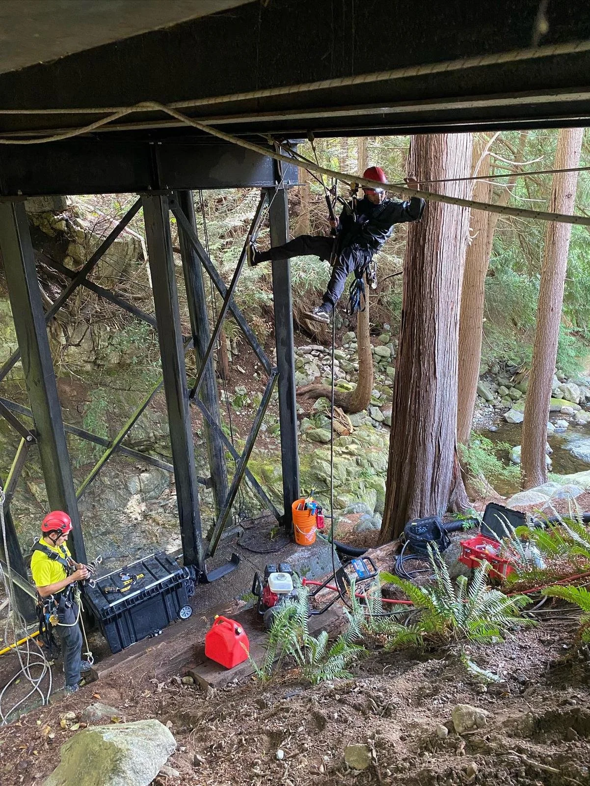 WhatsApp Image 2024-09-21 at 09.44.09 (6).jpeg