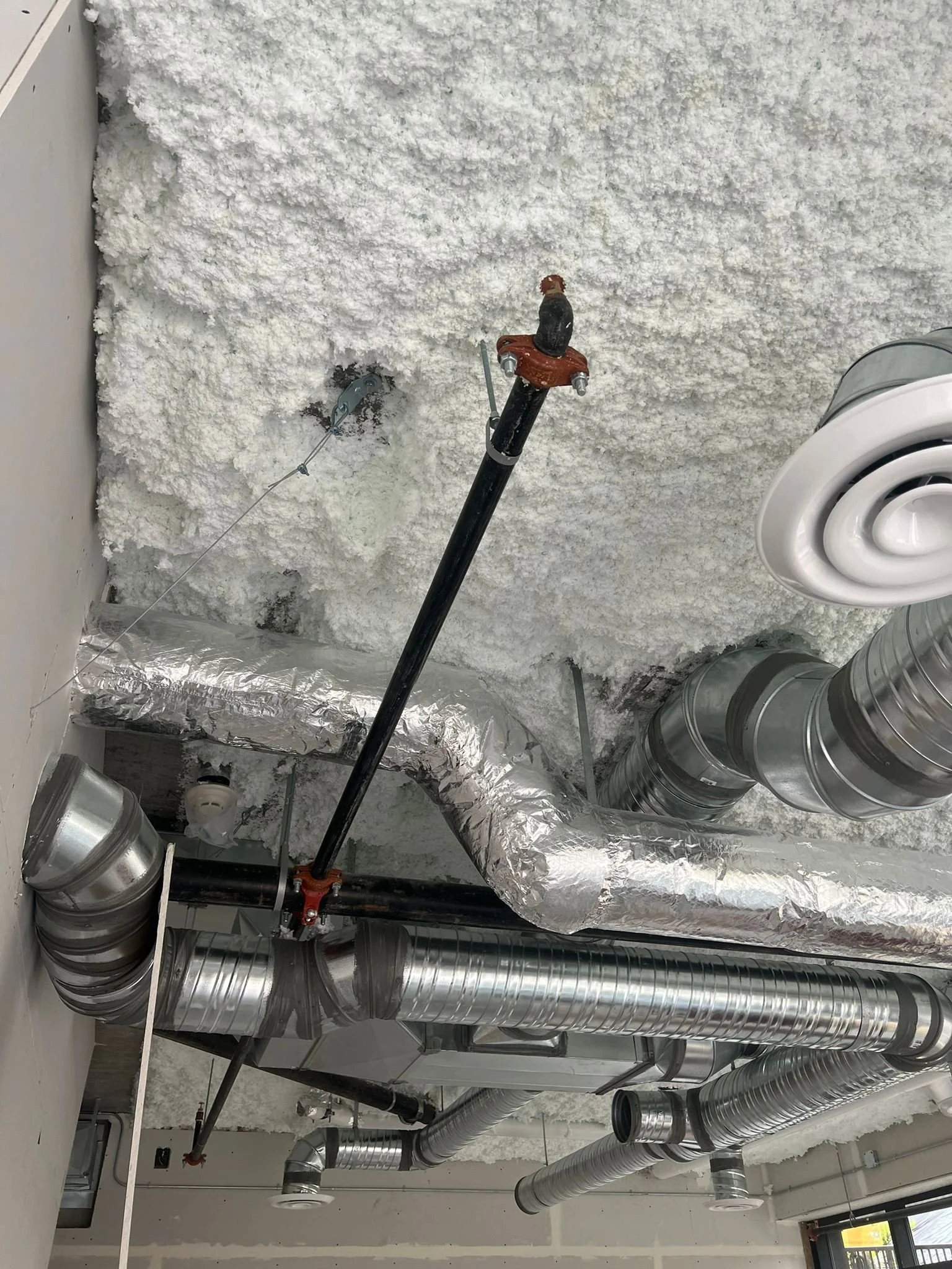 WhatsApp Image 2024-09-21 at 09.44.08 (6).jpeg