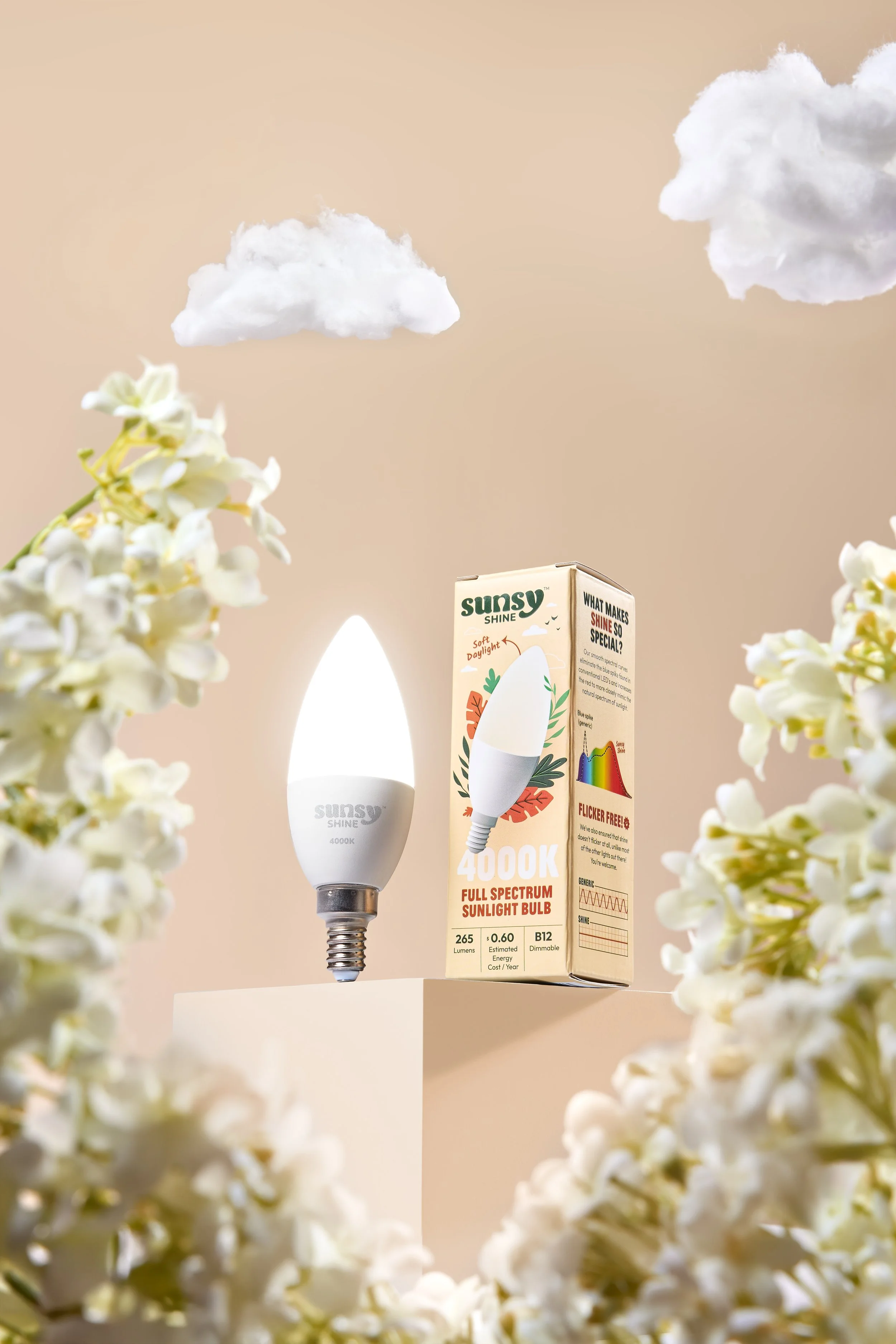 Sunsy_Dec 2025_7529.jpg