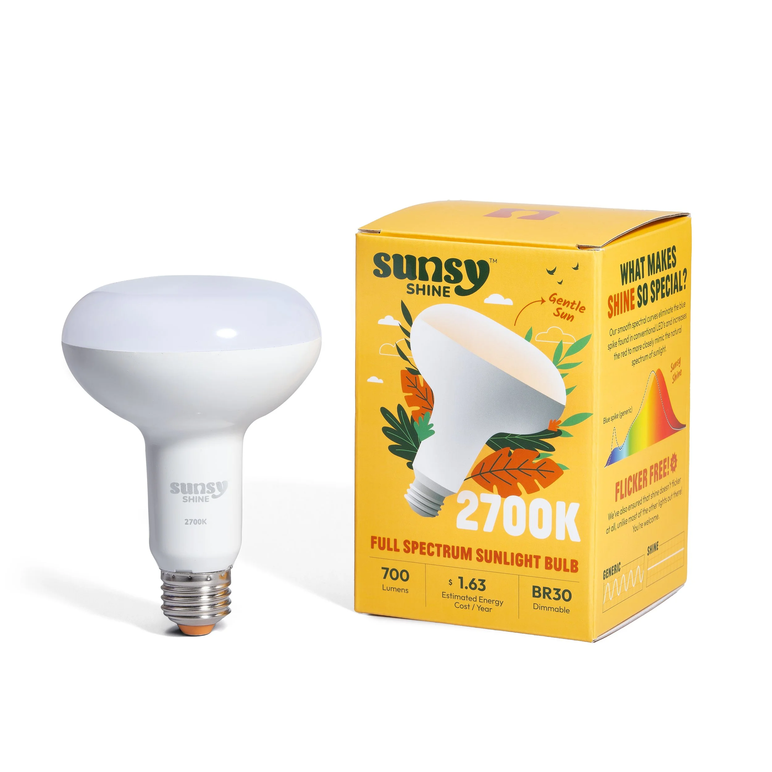 Sunsy_Dec 2025_7371.jpg