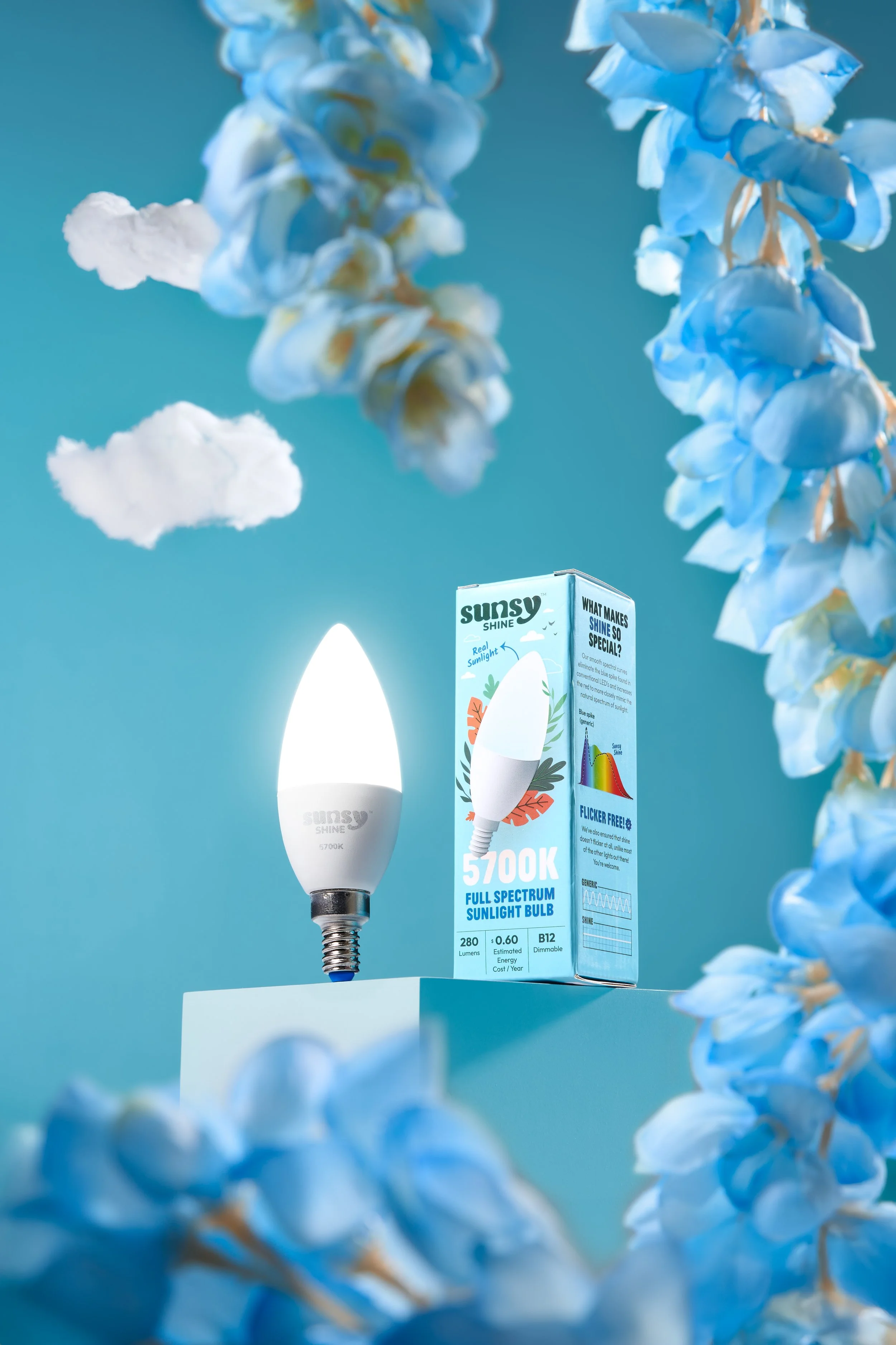 Sunsy_Dec 2025_7582.jpg