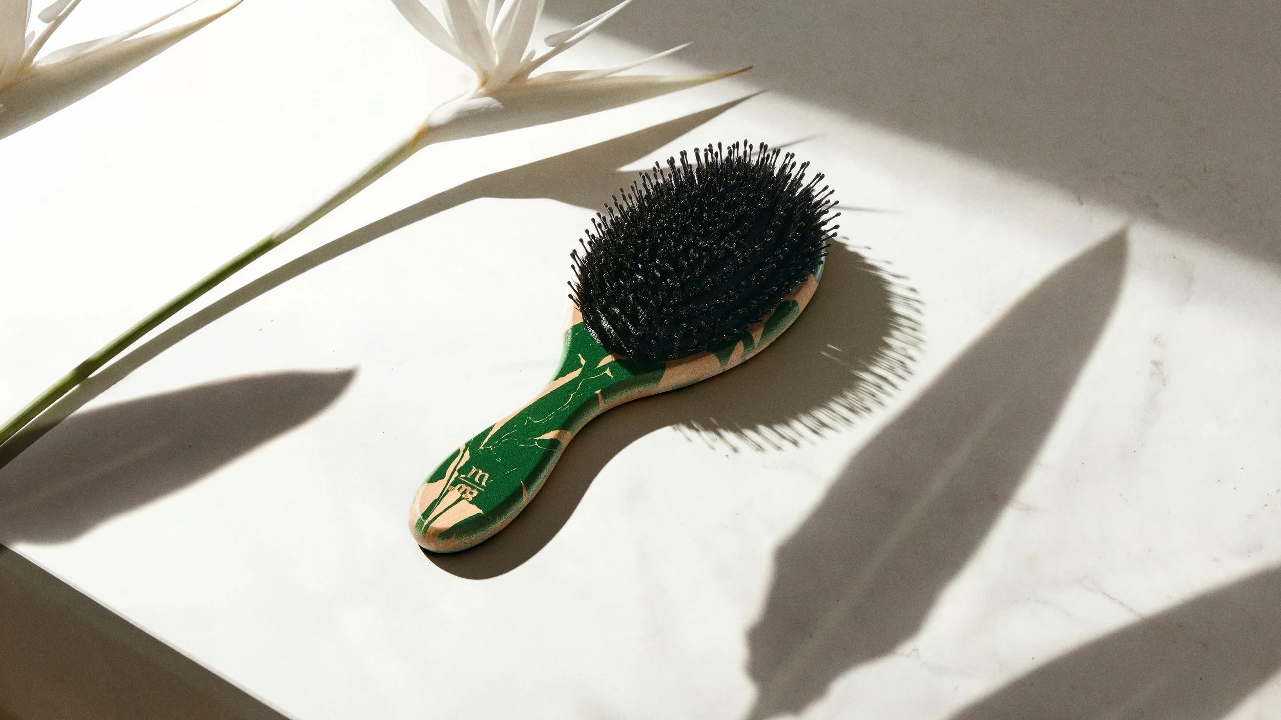 Molimenti_Bird of Paradise Launch2124.jpg