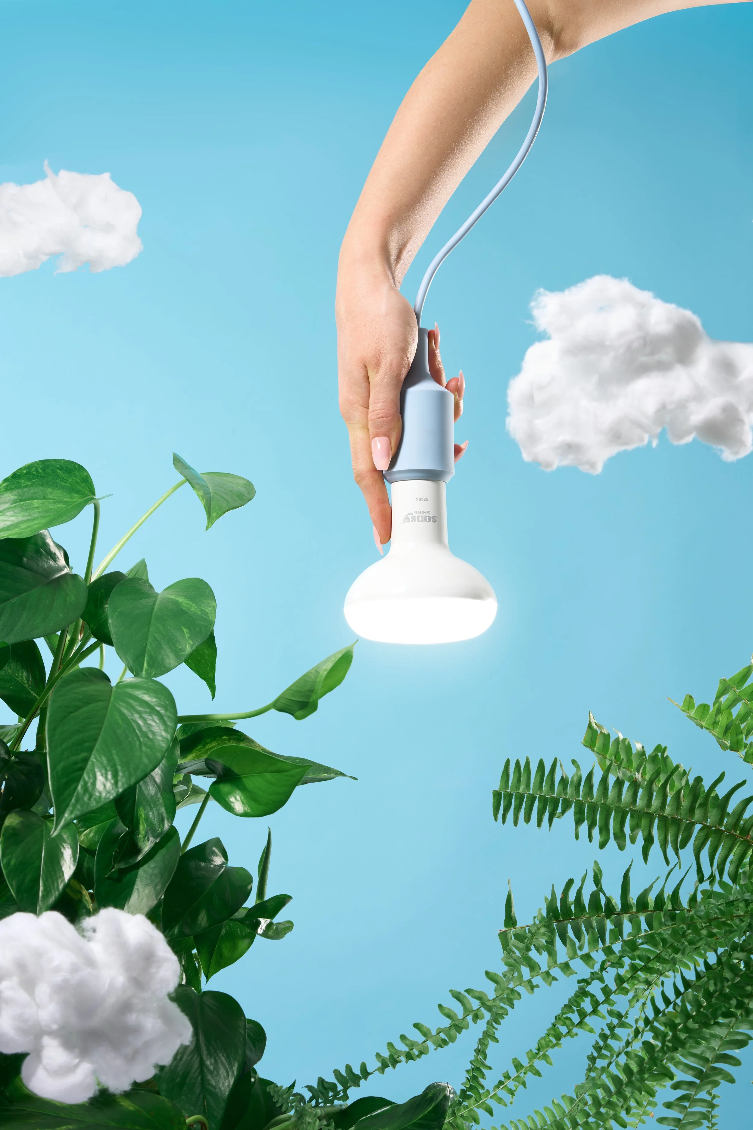 Sunsy_Dec 2025_7470.jpg