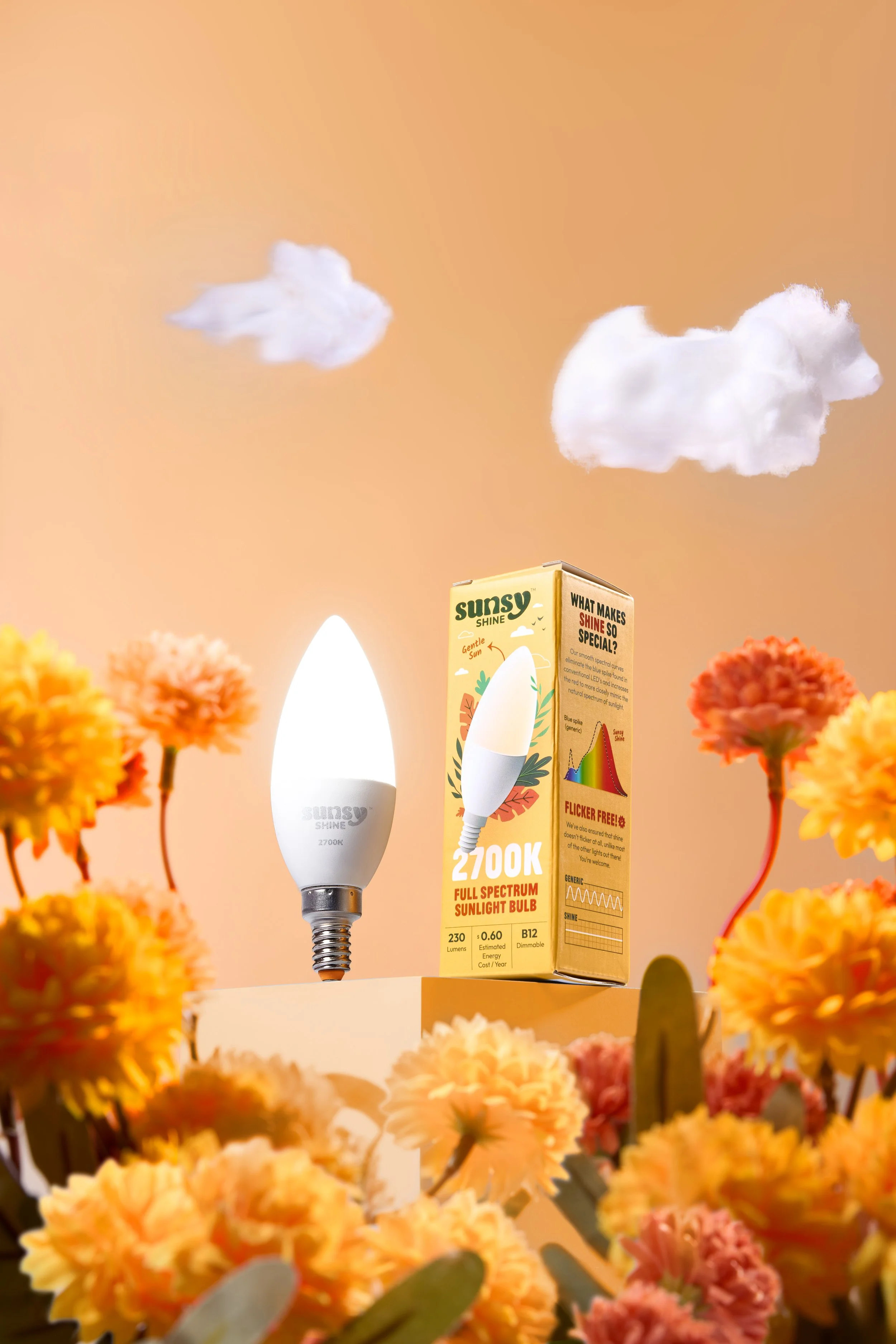 Sunsy_Dec 2025_7549.jpg