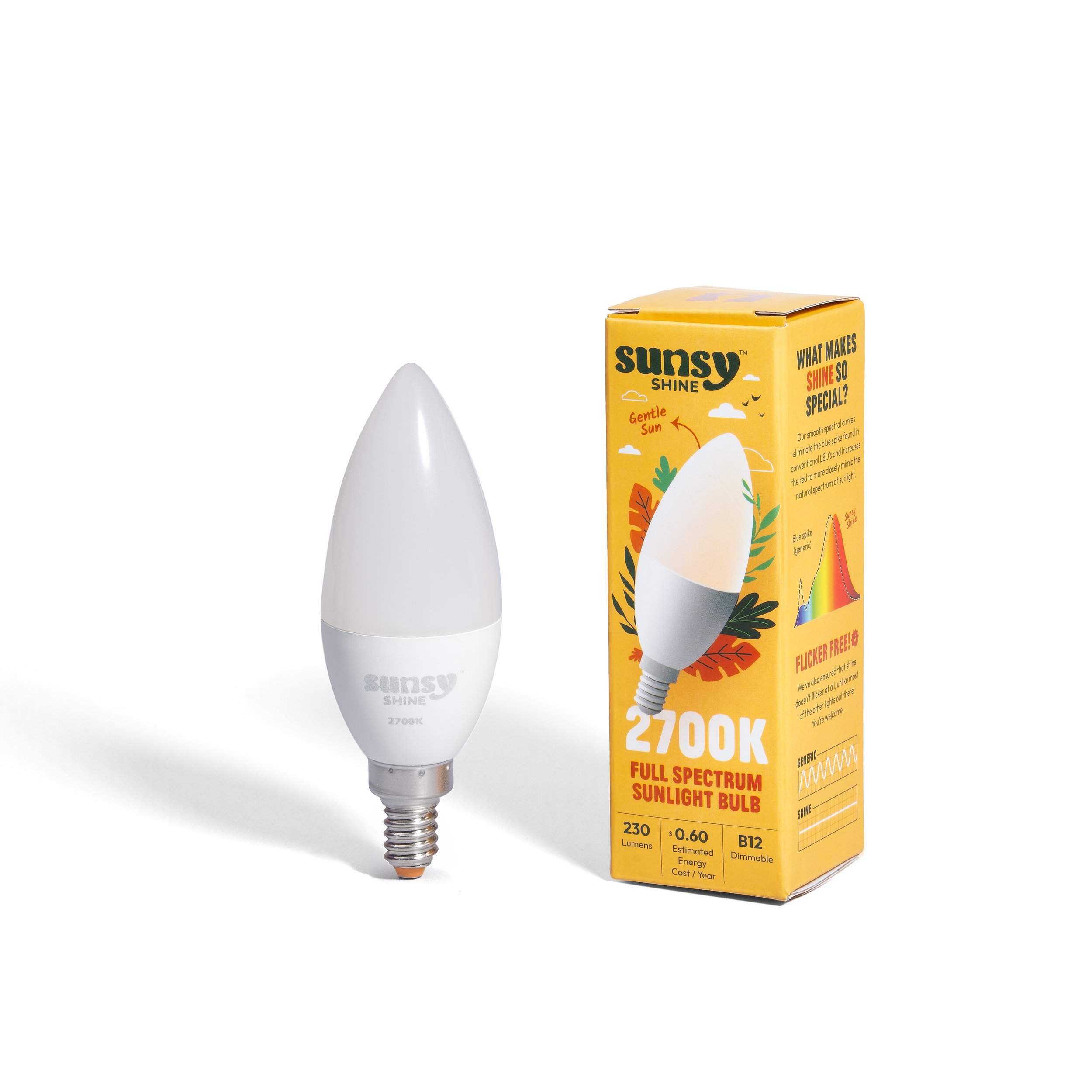 Sunsy_Dec 2025_7386.jpg