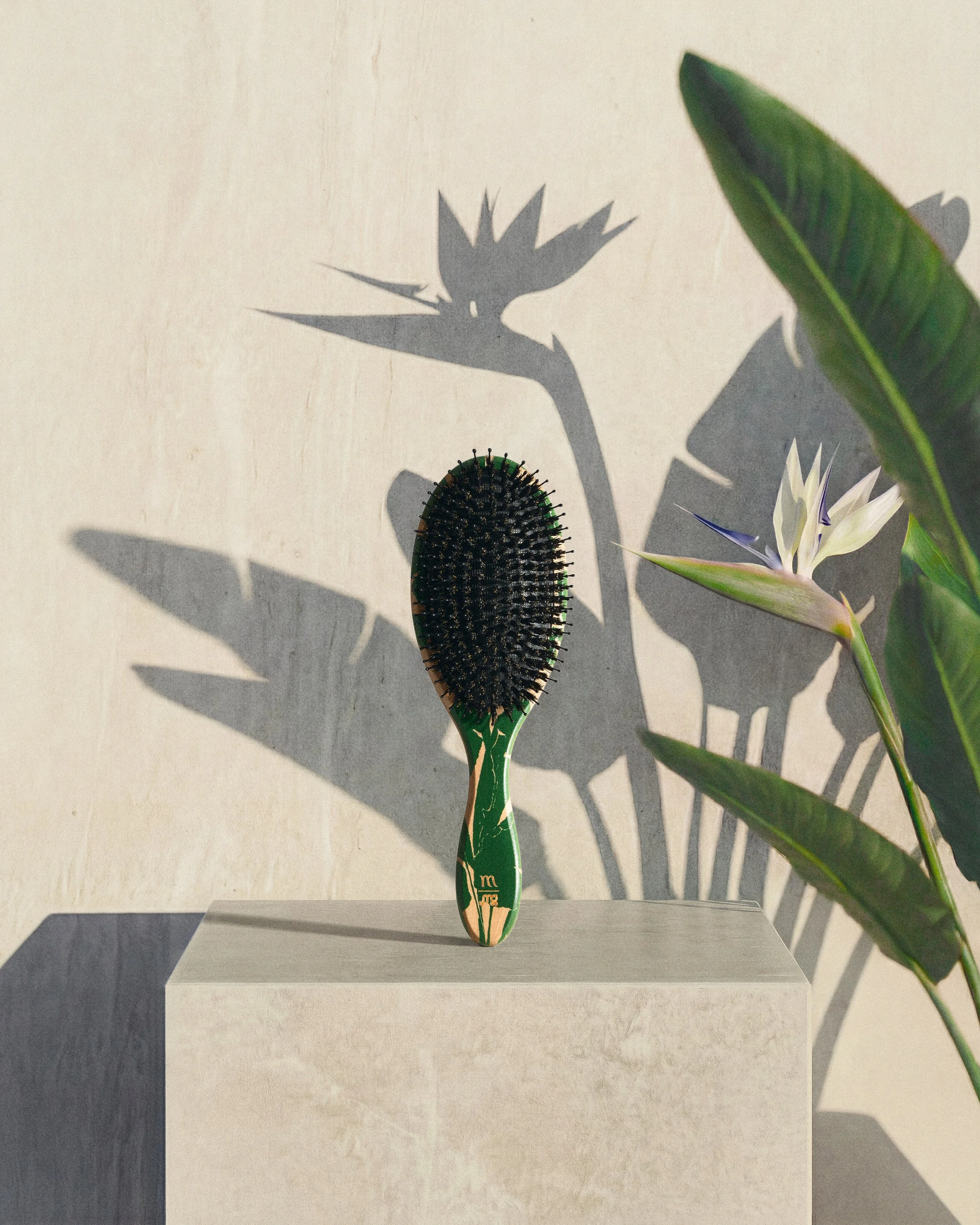 Molimenti_Bird of Paradise Launch2062 FRONT.jpg