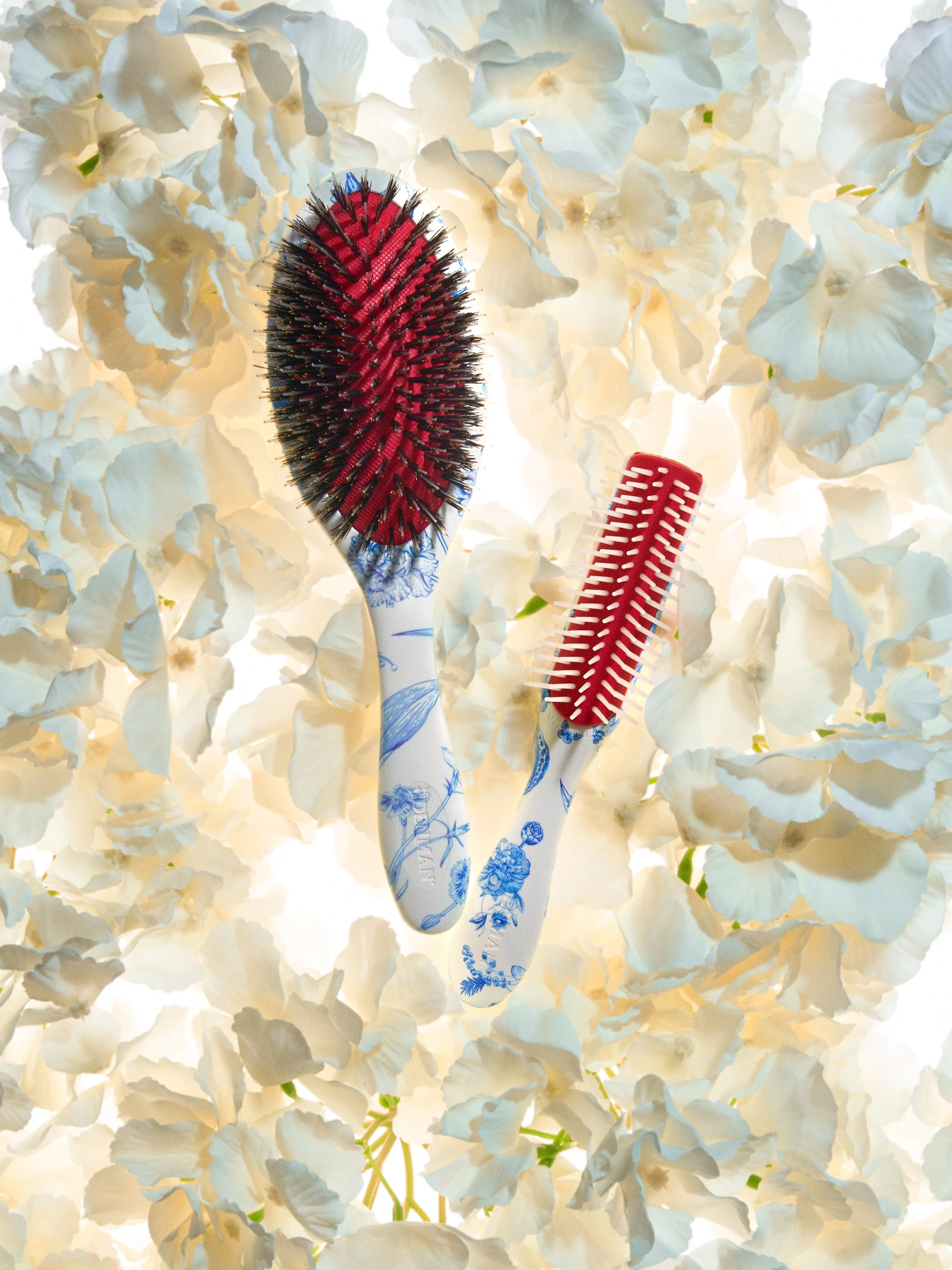 Denman_Blue Belle Launch2923.jpg